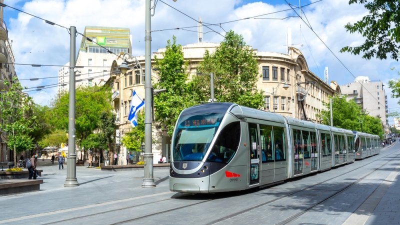 צילום: Shutterstock צילום: Shutterstock