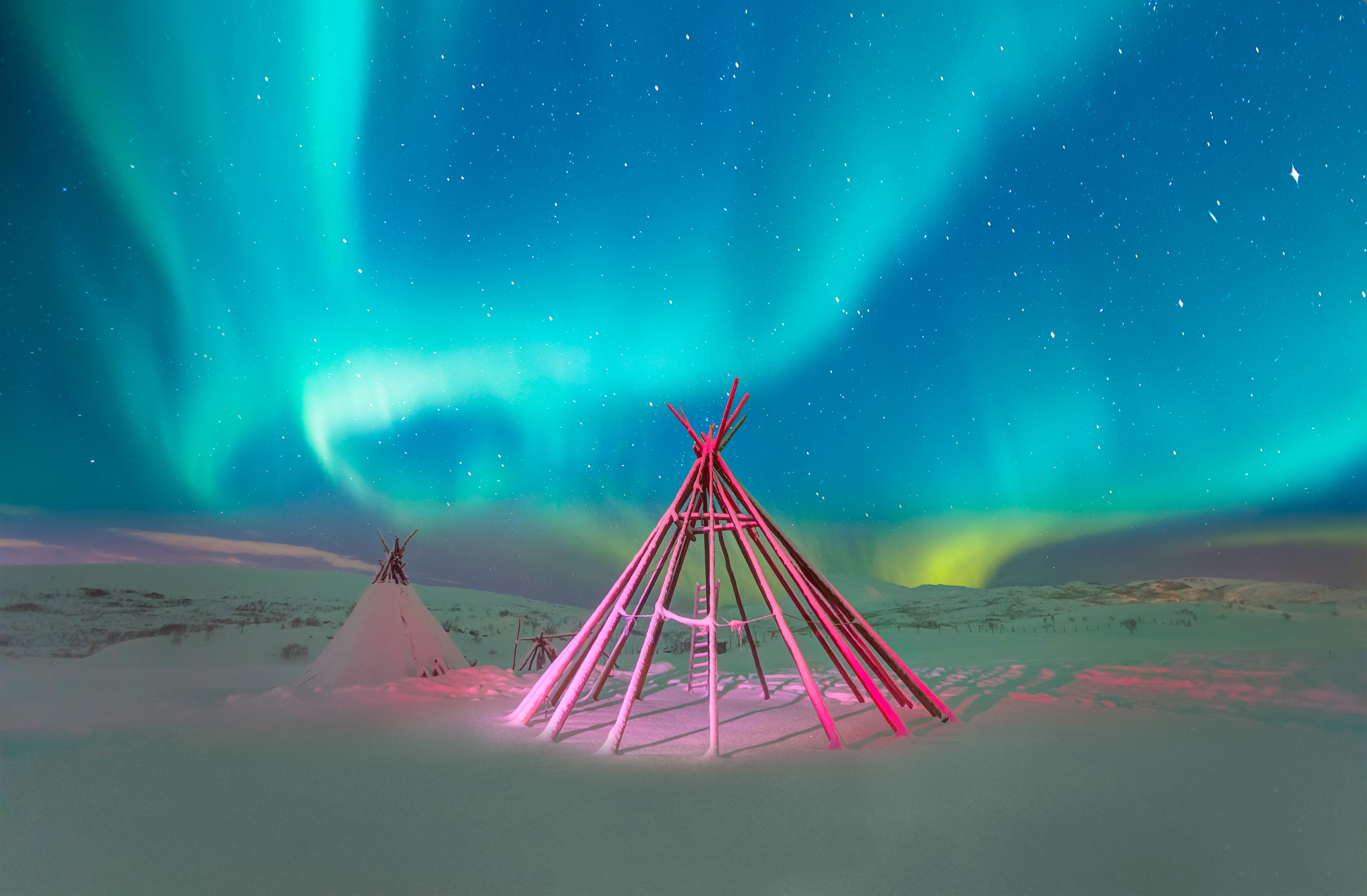 Photo: Shutterstock