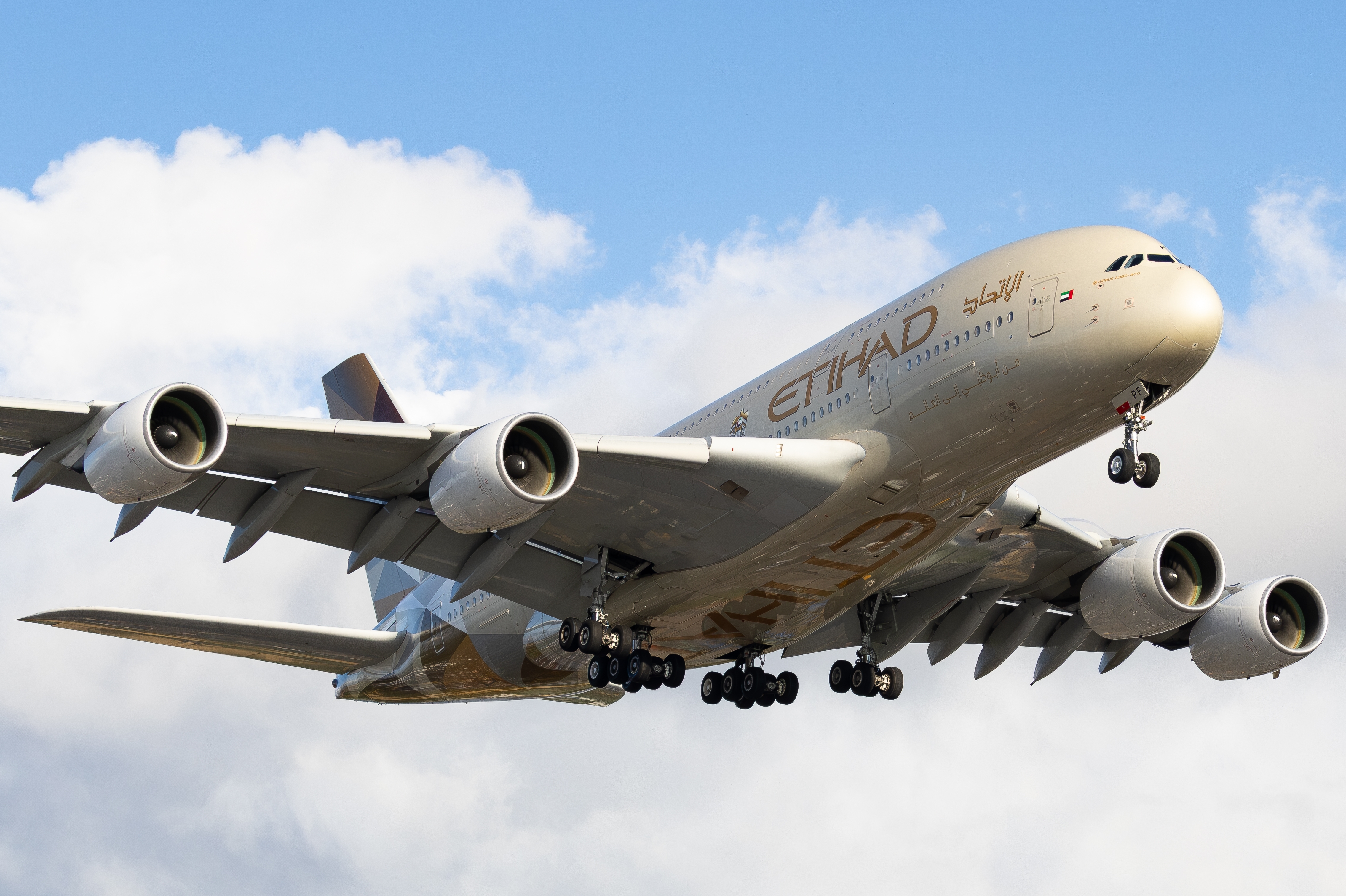 A380 Etihad. Photo:  Deniz F / Shutterstock.com