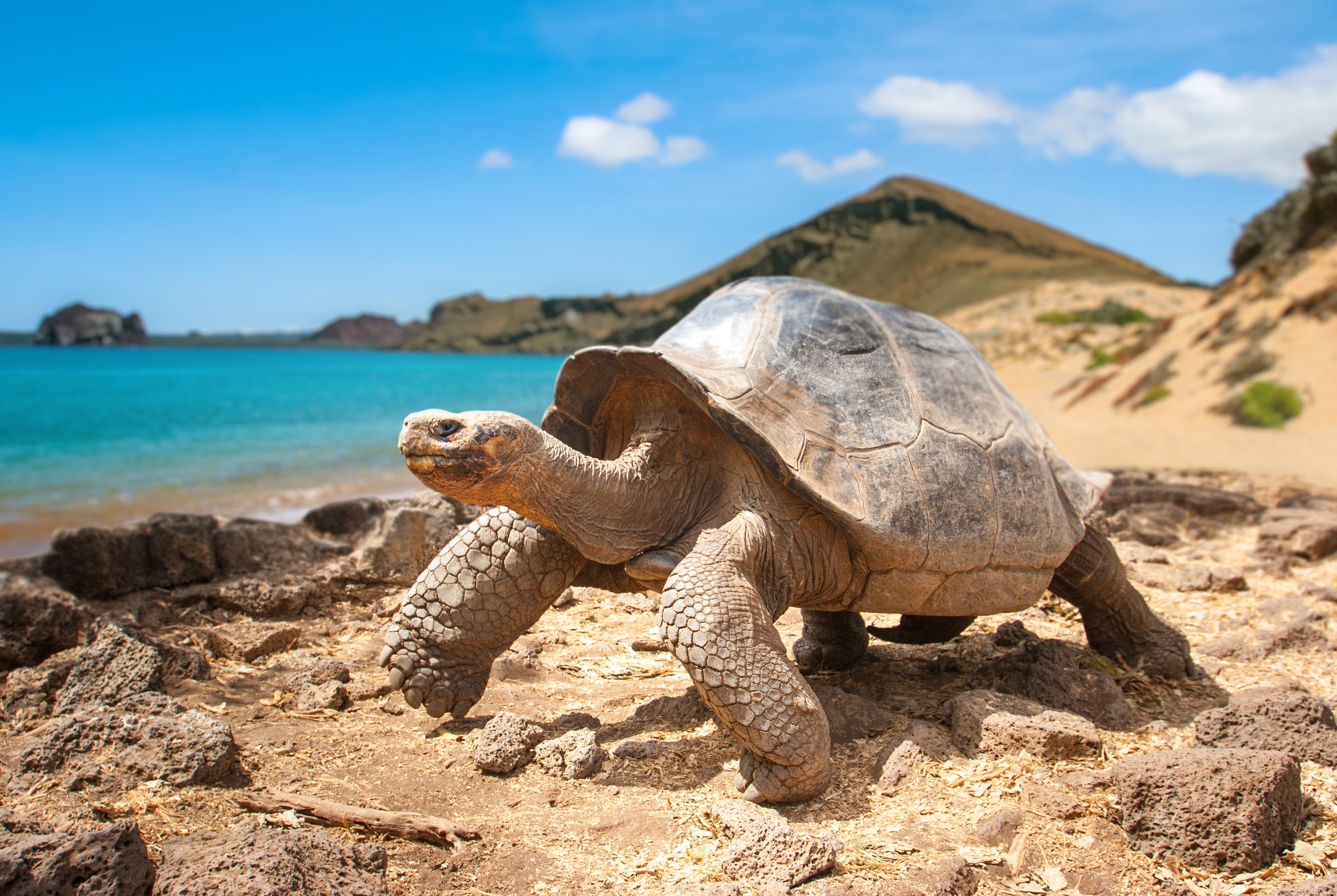 Galapagos, Eduador. Photo: Shutterstock