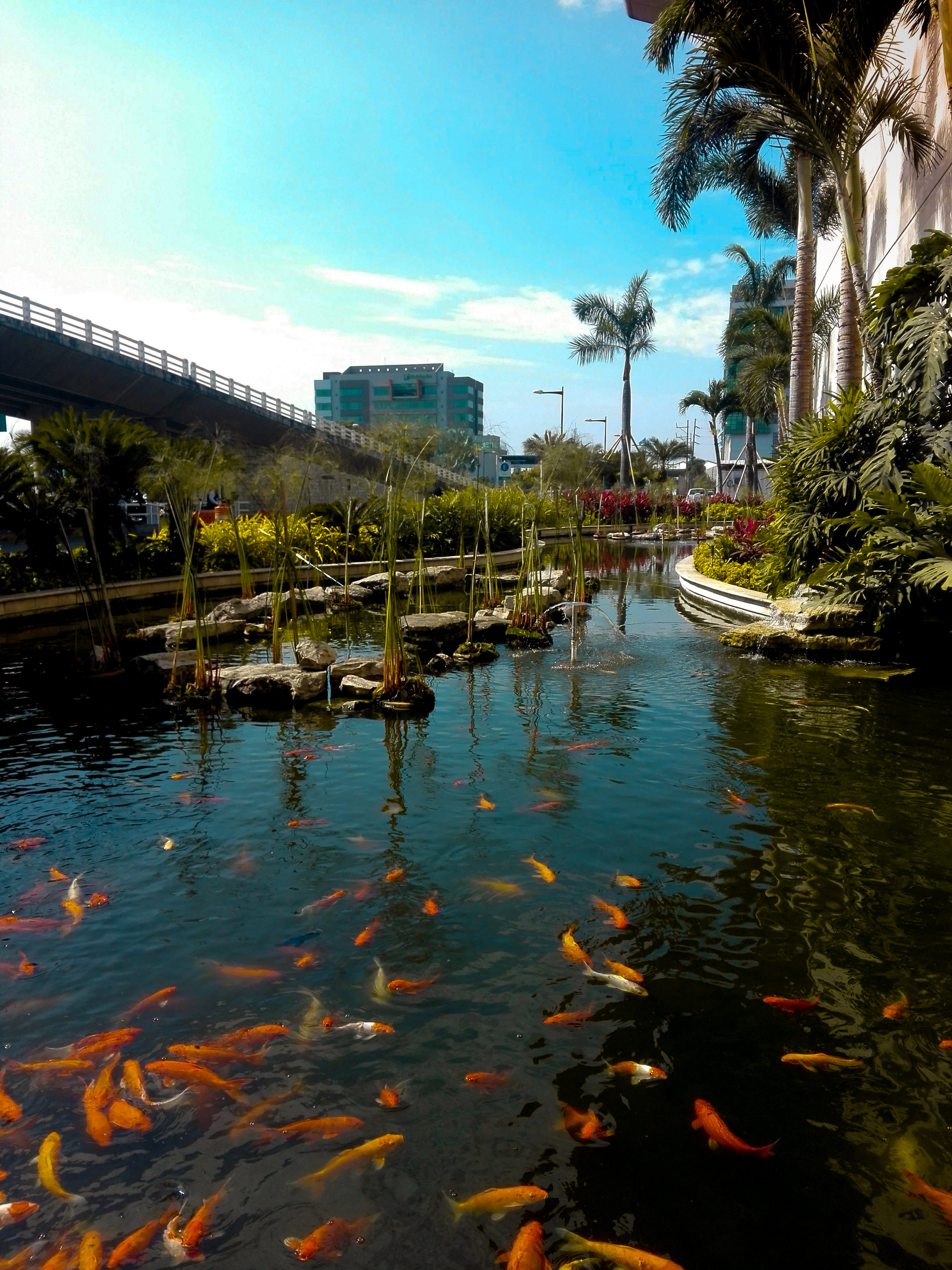 Guayaquil, Ecuador; July 22, 2019: View of the garden outside the José Joaquín de Olmedo International Airport. Photo: Garzing / Shutterstock.com