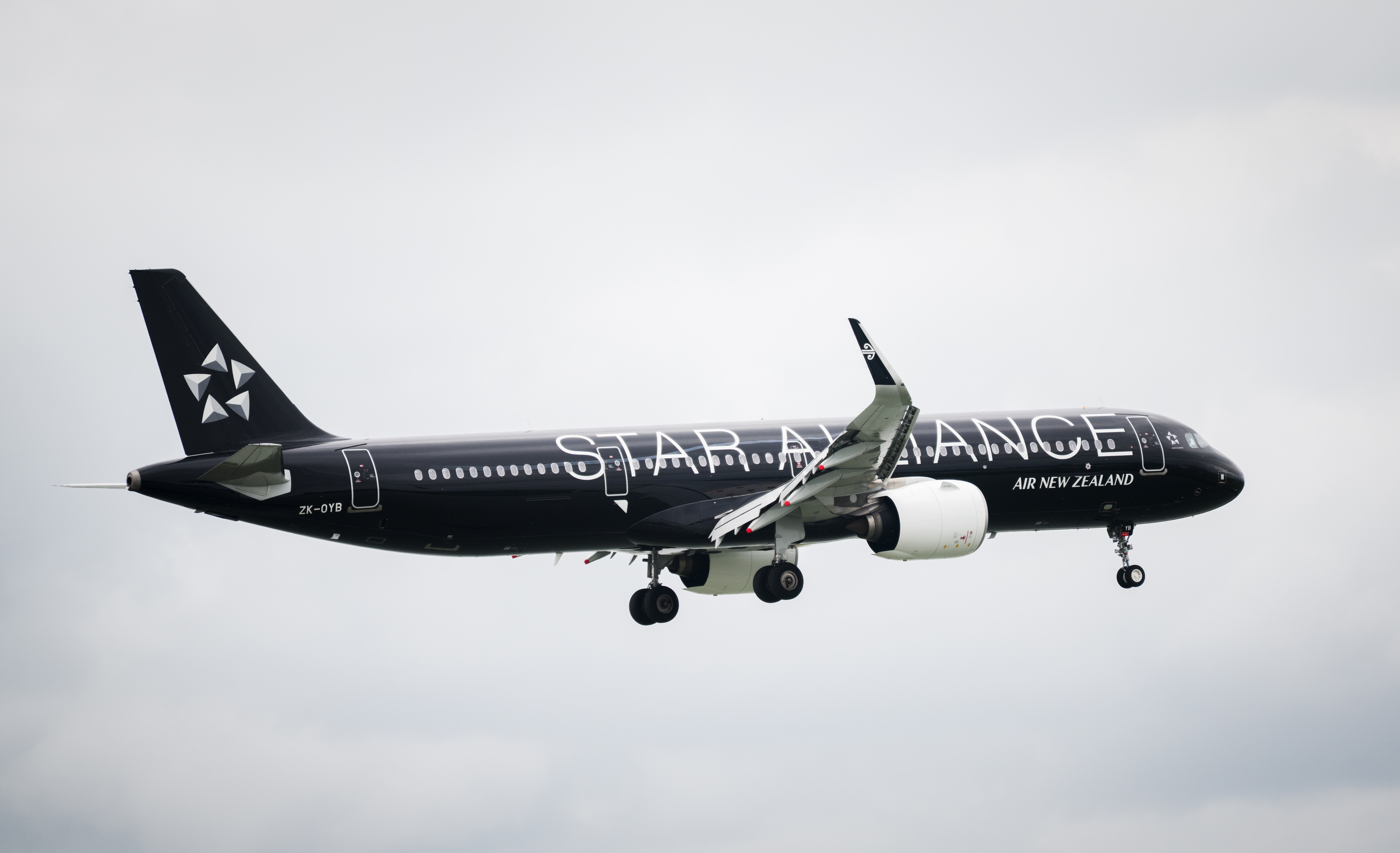 Star Alliance aircraft. Photo: Janice Chen / Shutterstock.com