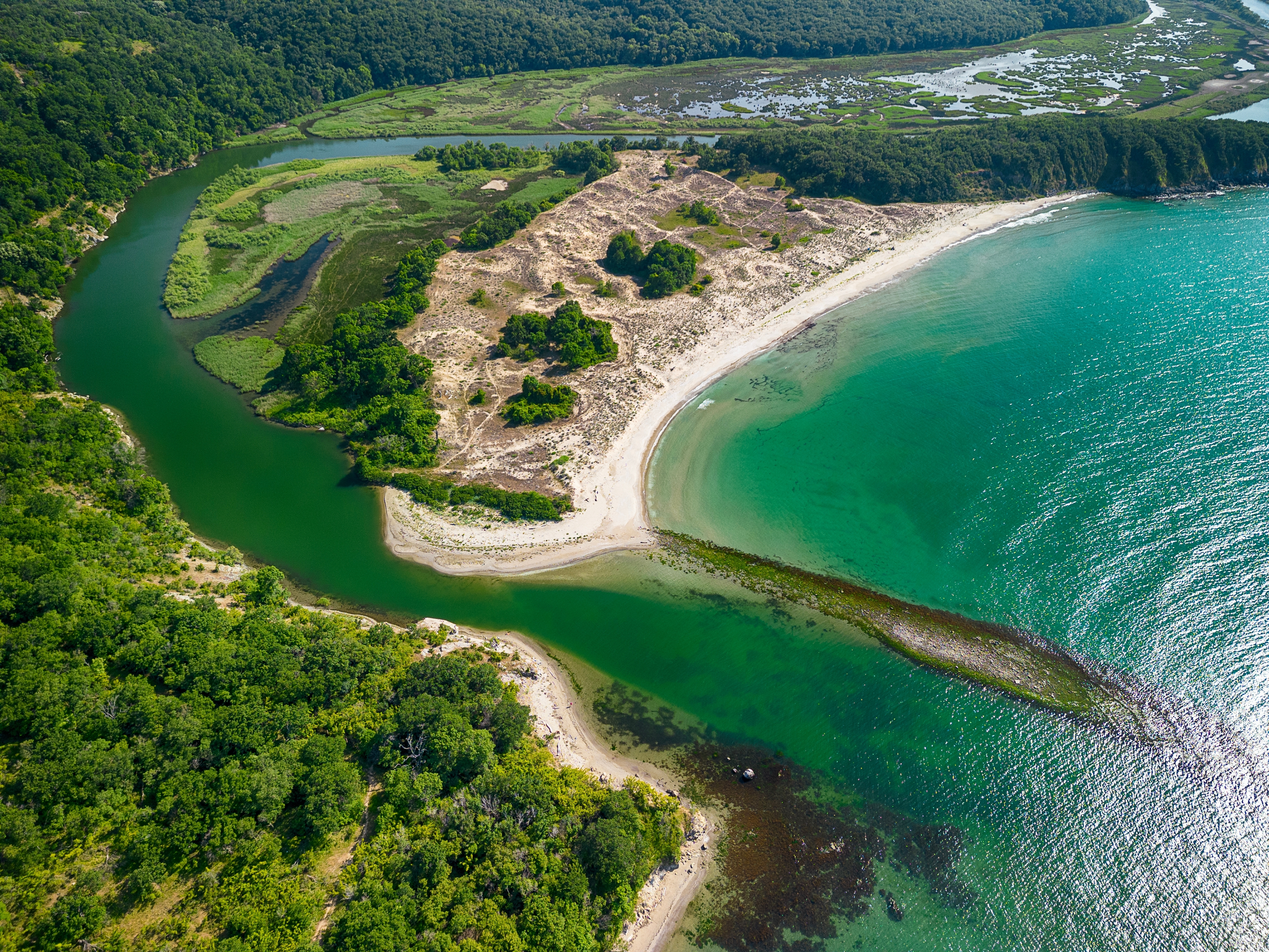 Ropotamo Narure Reserve. Photo: Shutterstock