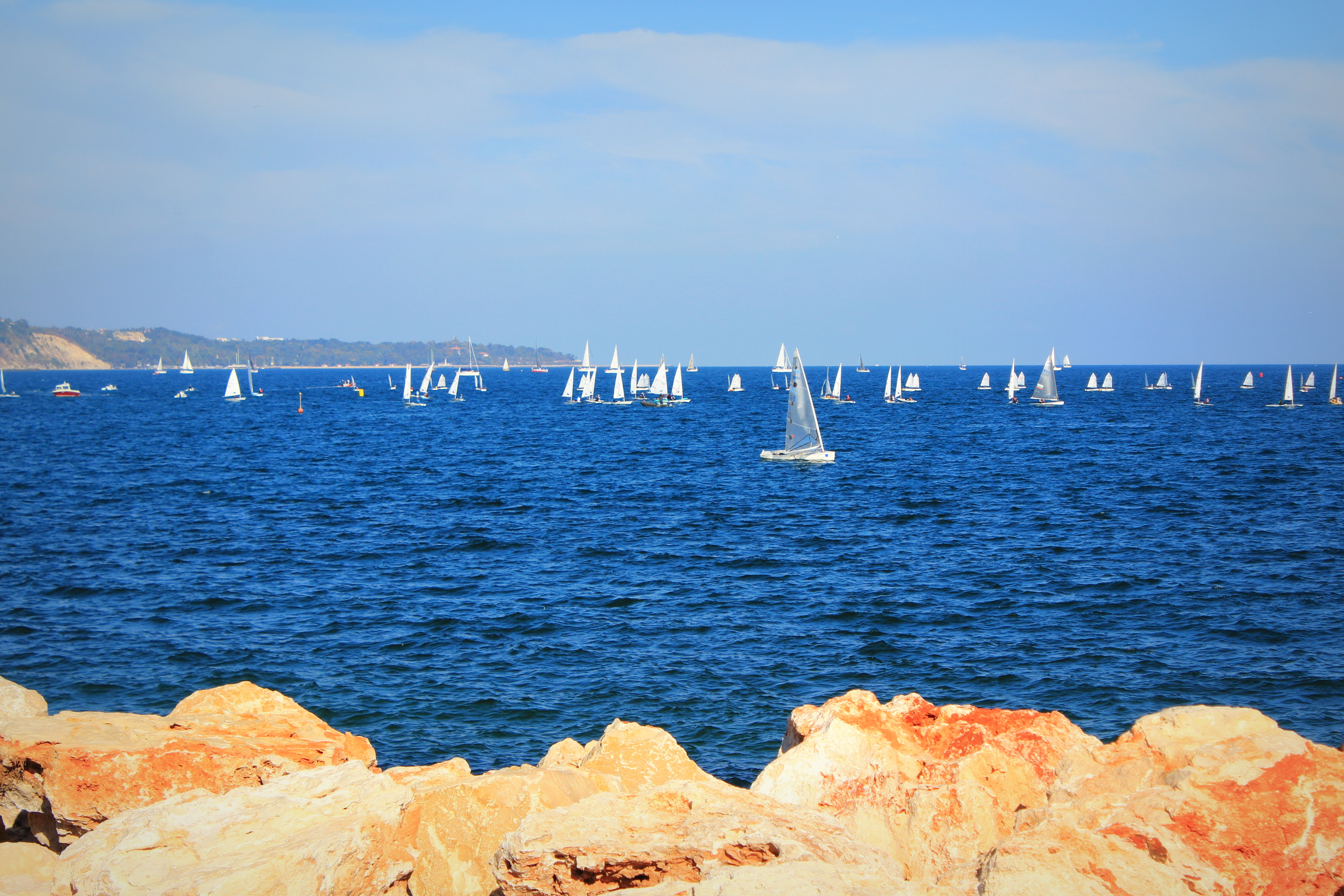 Photo: Anna Yordanova / Shutterstock.com