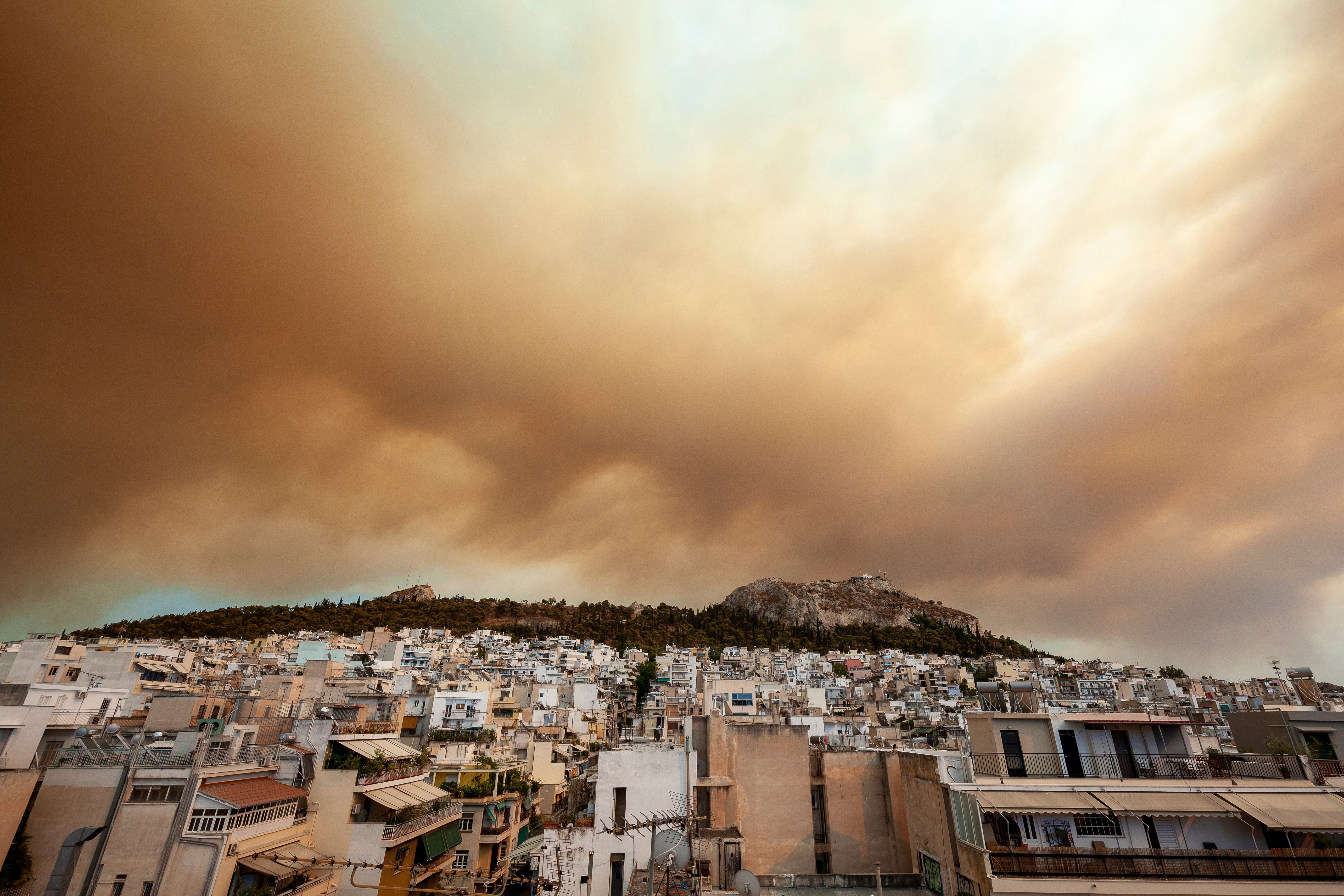 Wildfires in Greece. Photo: Shutterstock
