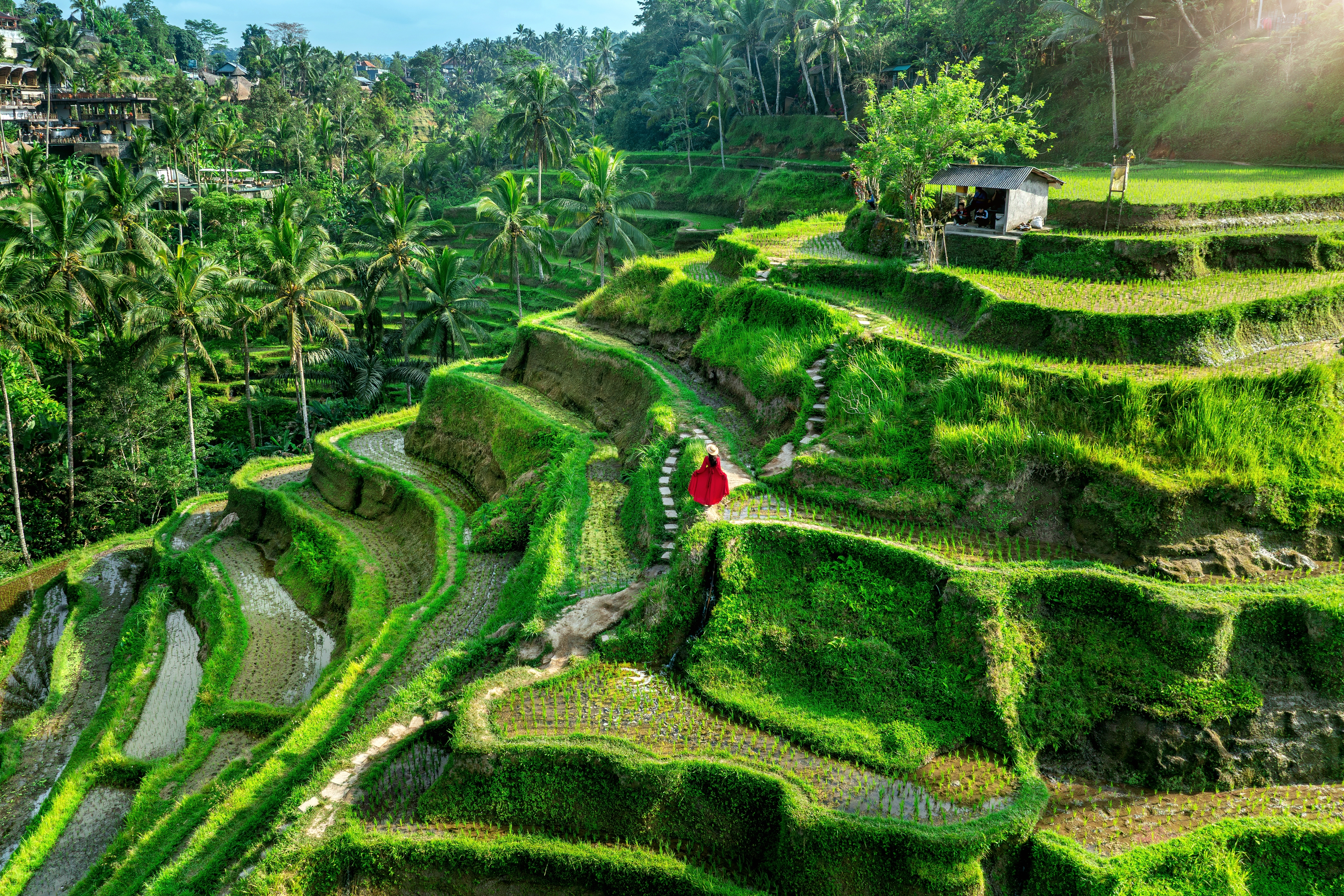 Bali, Indonesia. Photo: Shutterstock