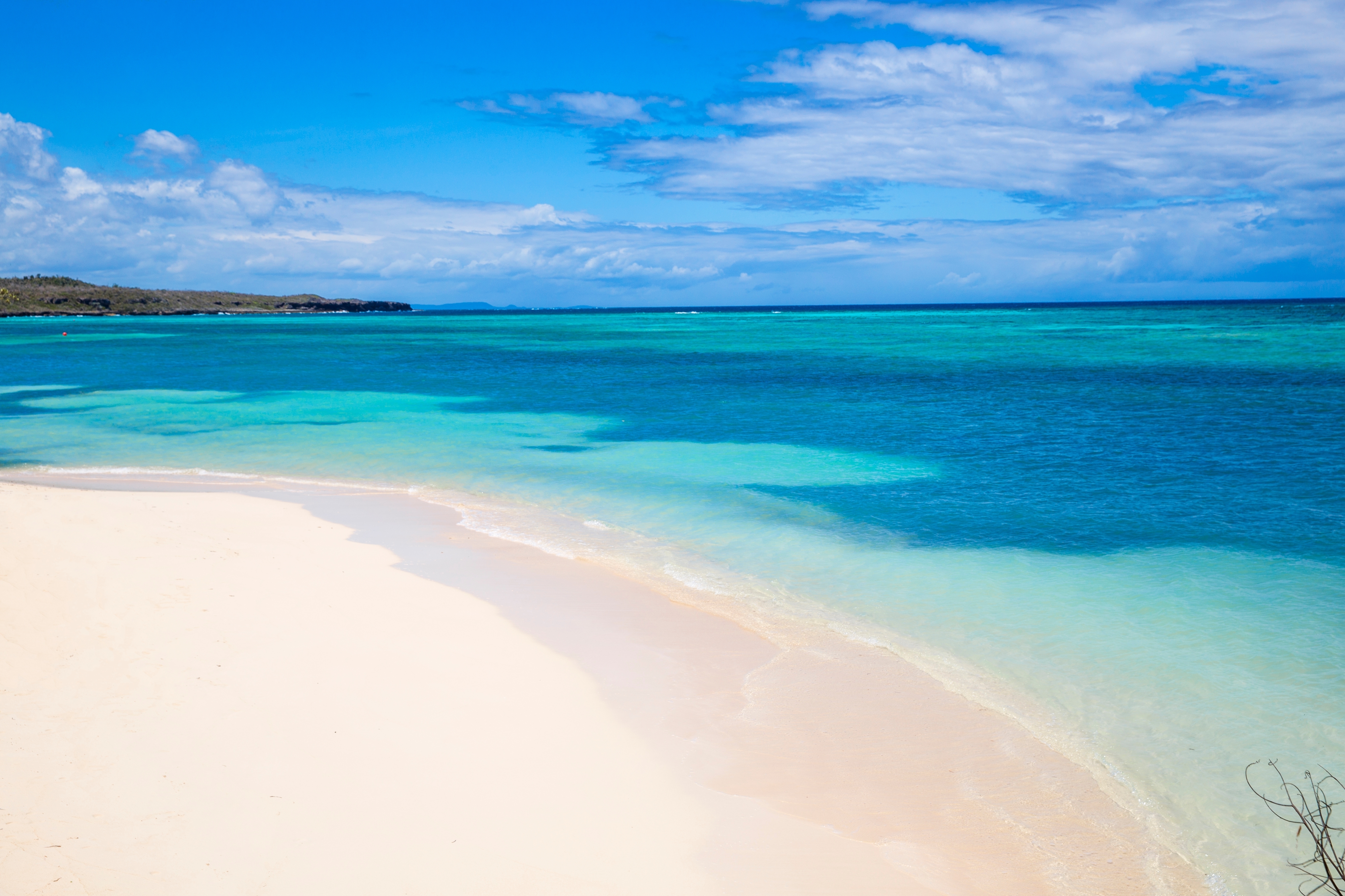 Photo: Shutterstock