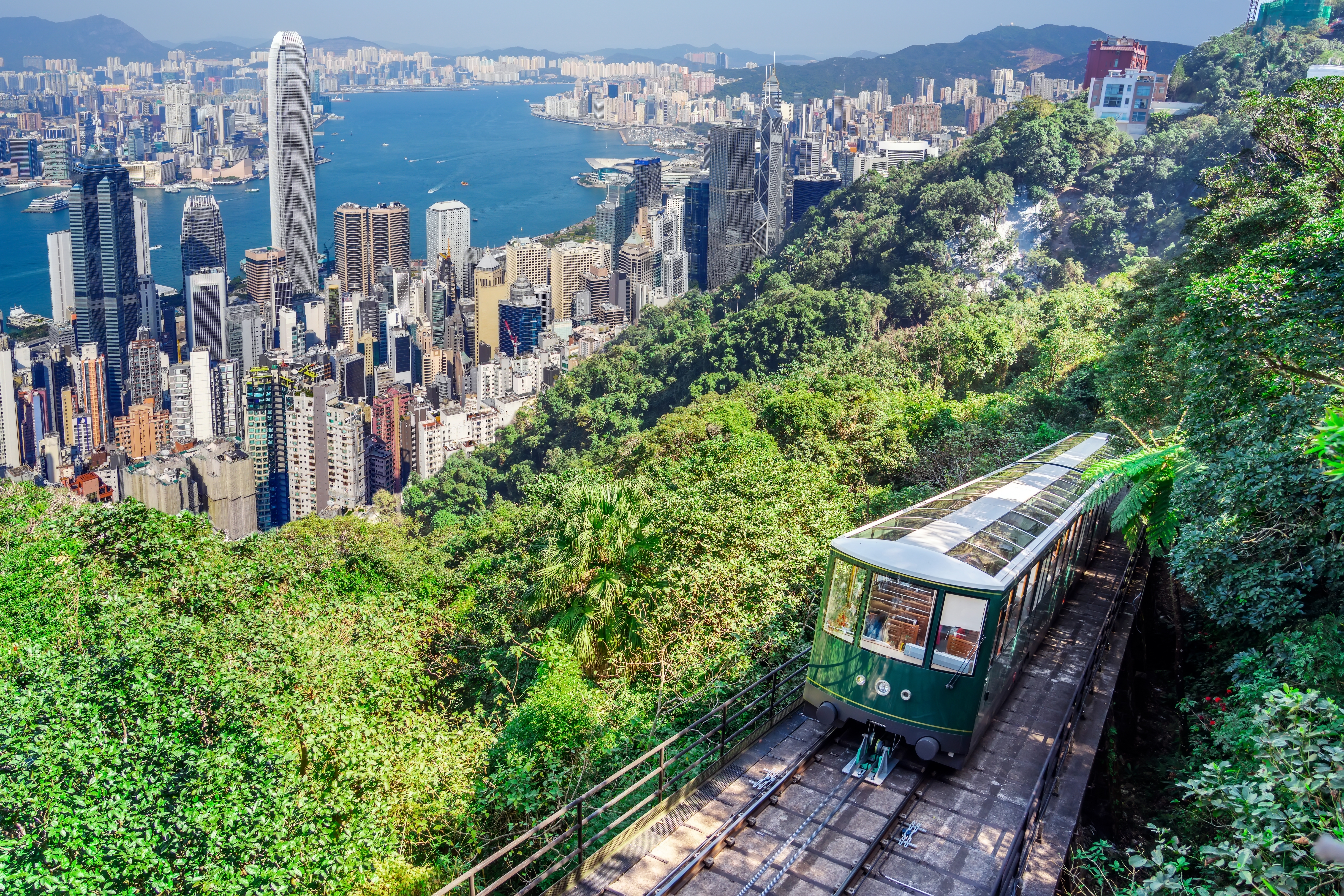 Hong Kong allows dogs in restaurants. Photo: Shutterstock