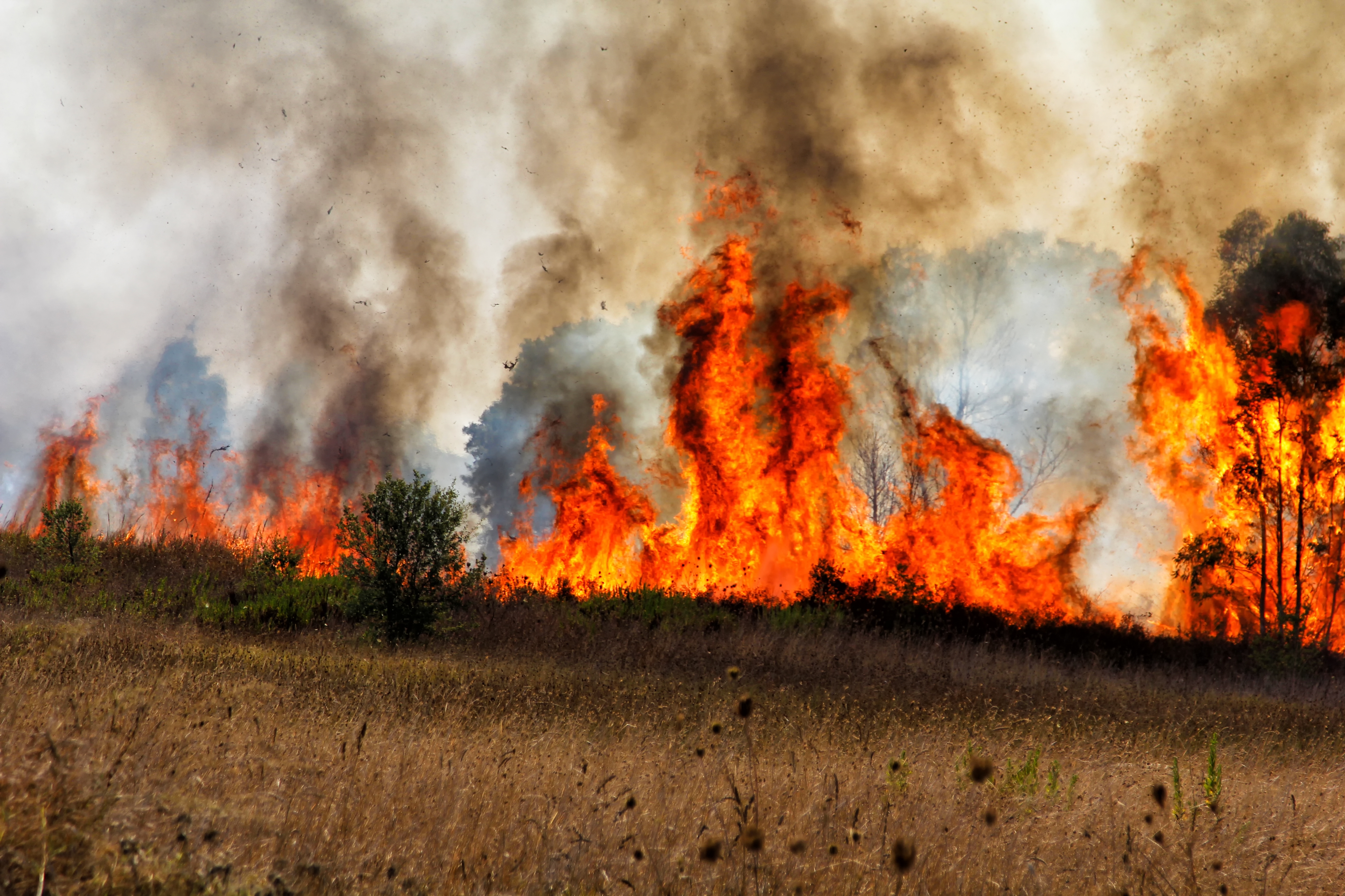 Photo: Shutterstock