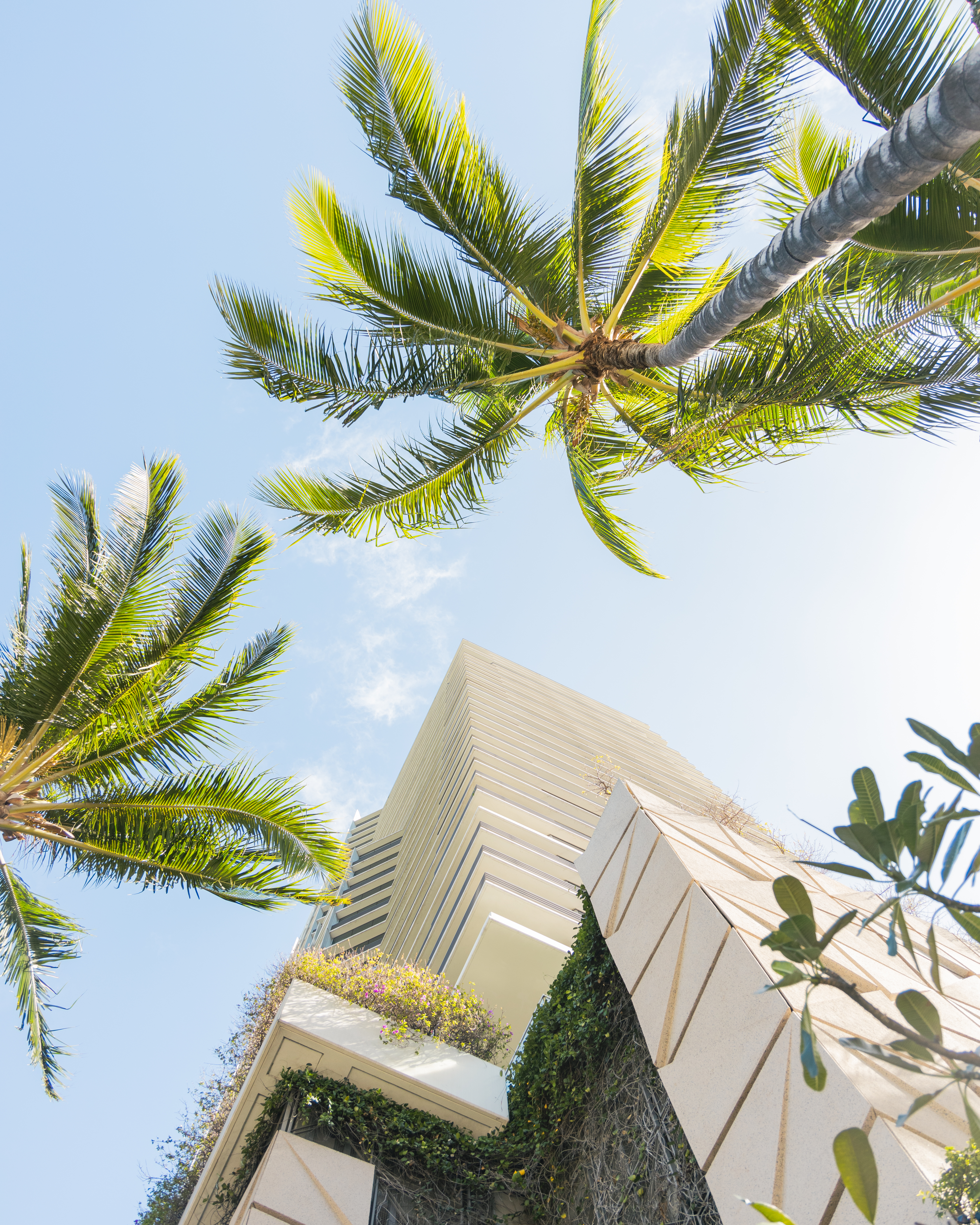 Ka La'i Waikīkī Beach, LXR Hotels & Resorts. Photo: © 2026 Hilton