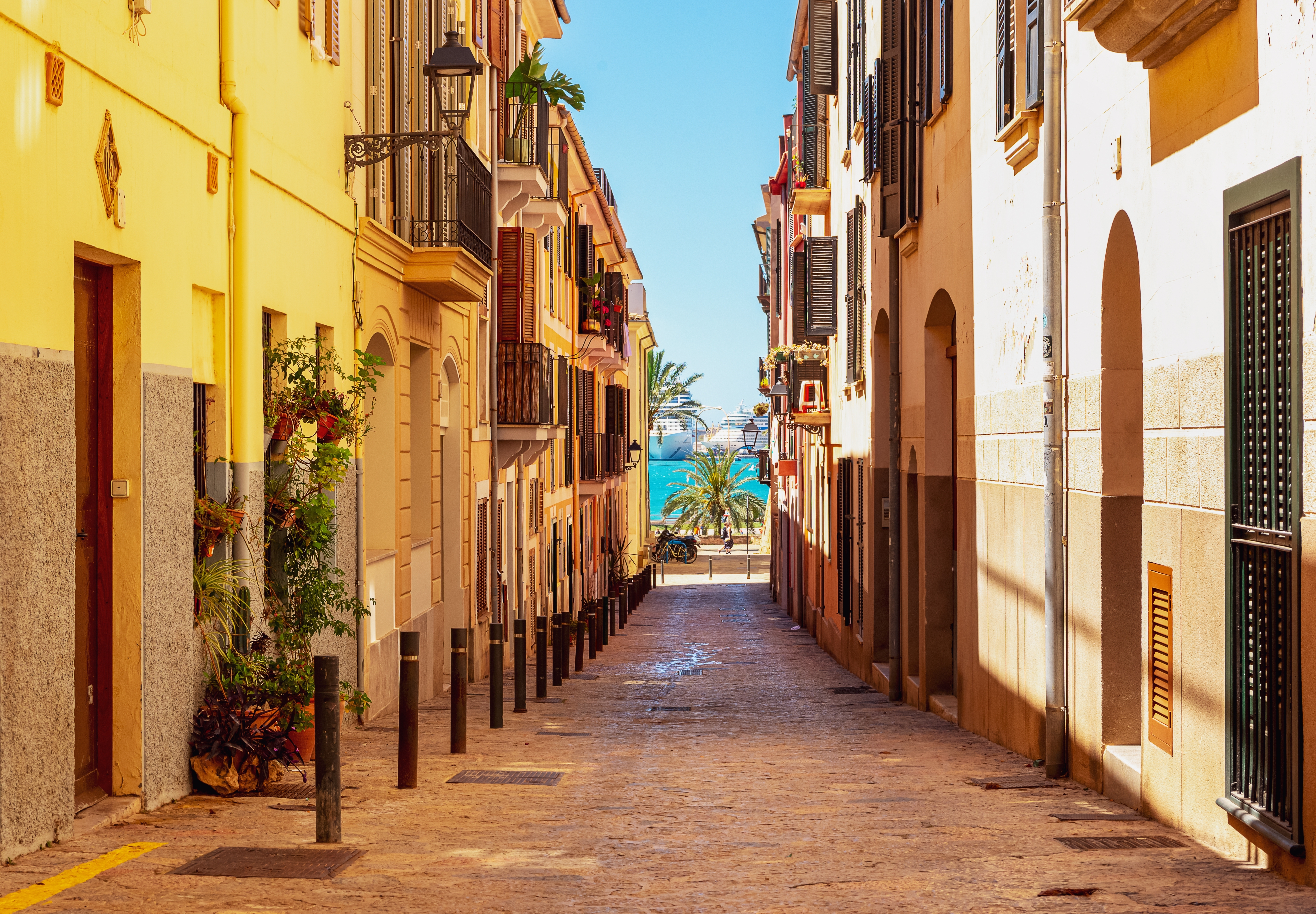 פאלמה דה מיורקה. צילום: Shutterstock