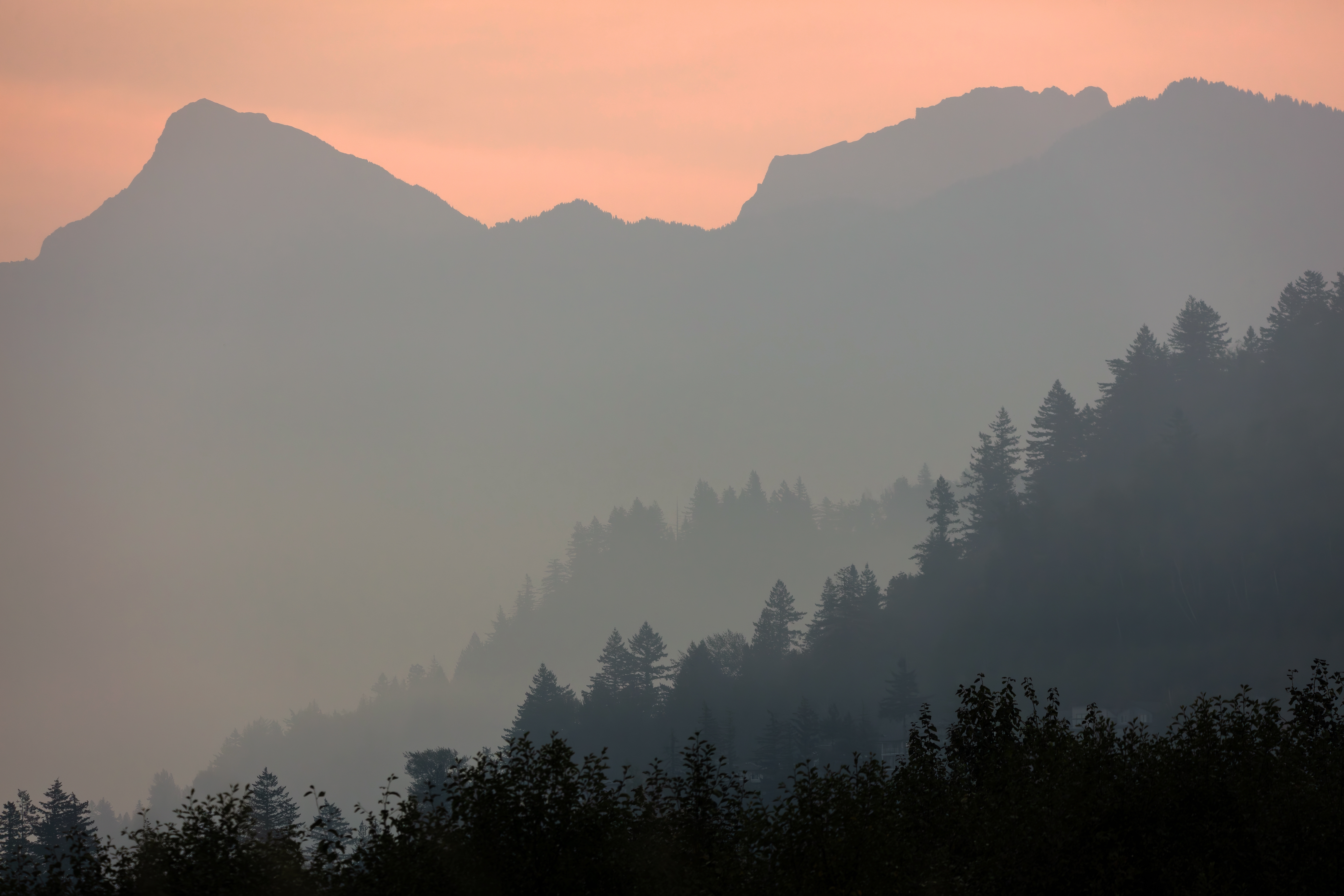Orange sky from wildfire. Photo: Shutterstock