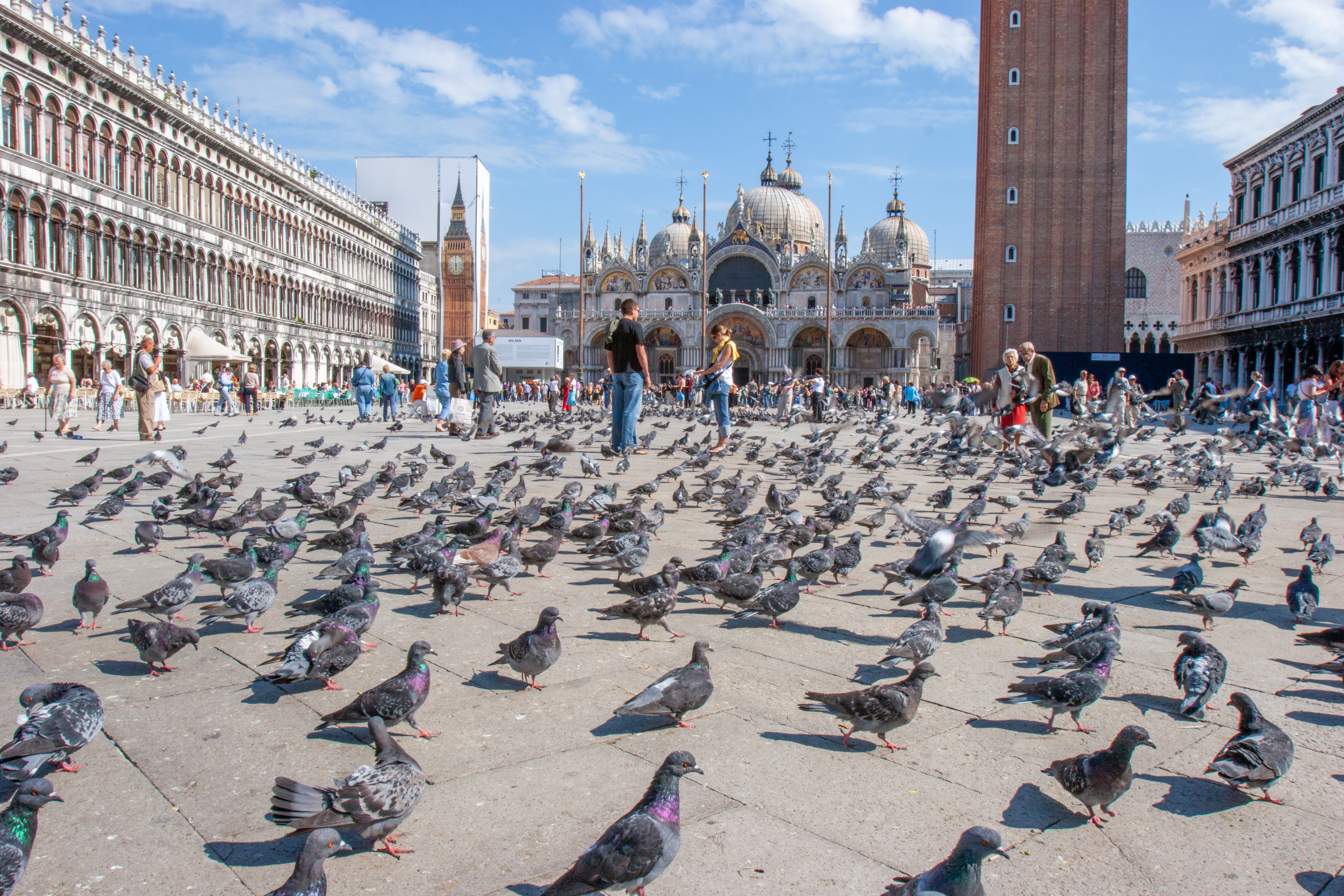 Don't feed pigeons. Photo: travelview / Shutterstock.com