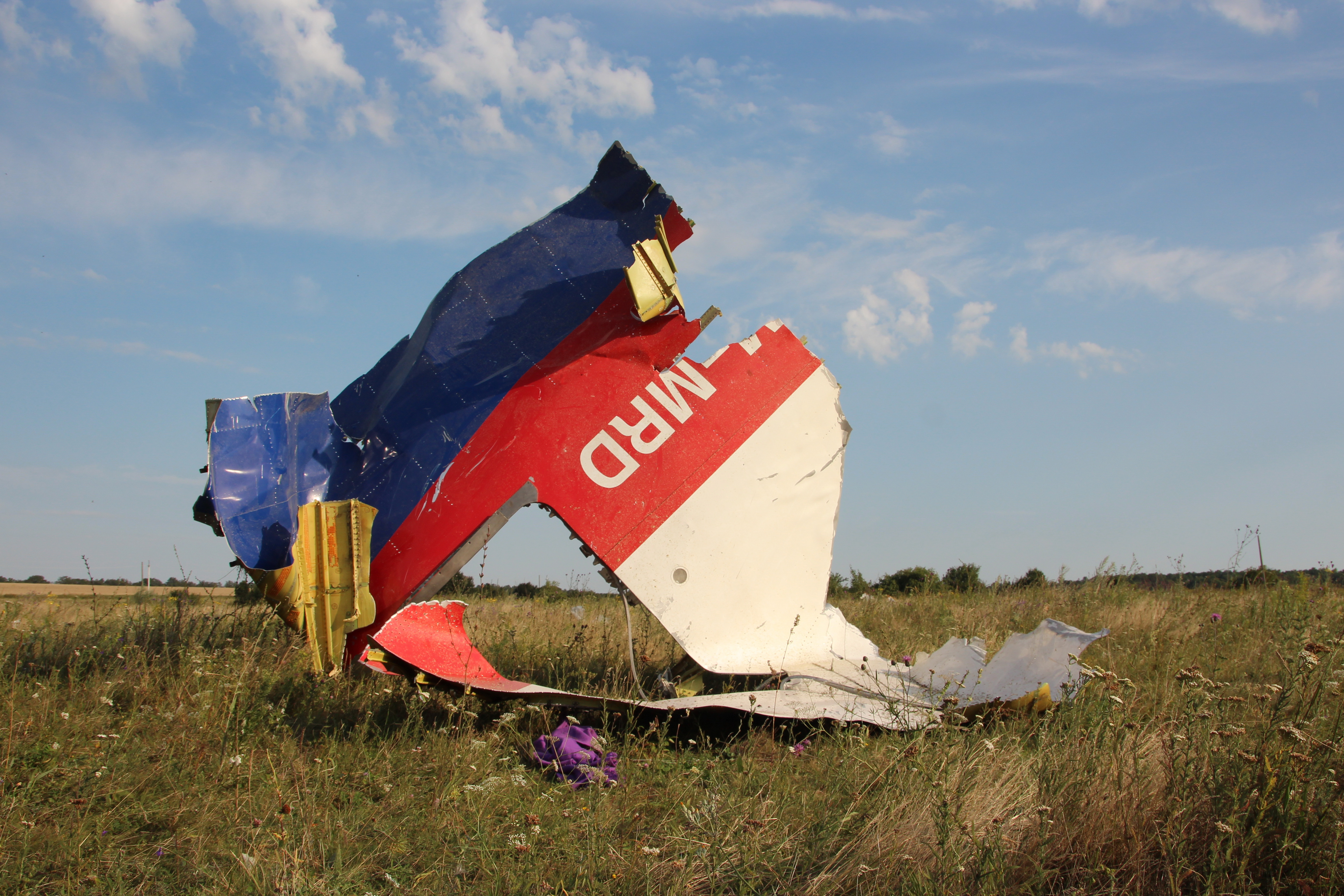 Crash site of Malaysia Airlines MH17. Photo: Alexander Gafarro / Shutterstock.com
