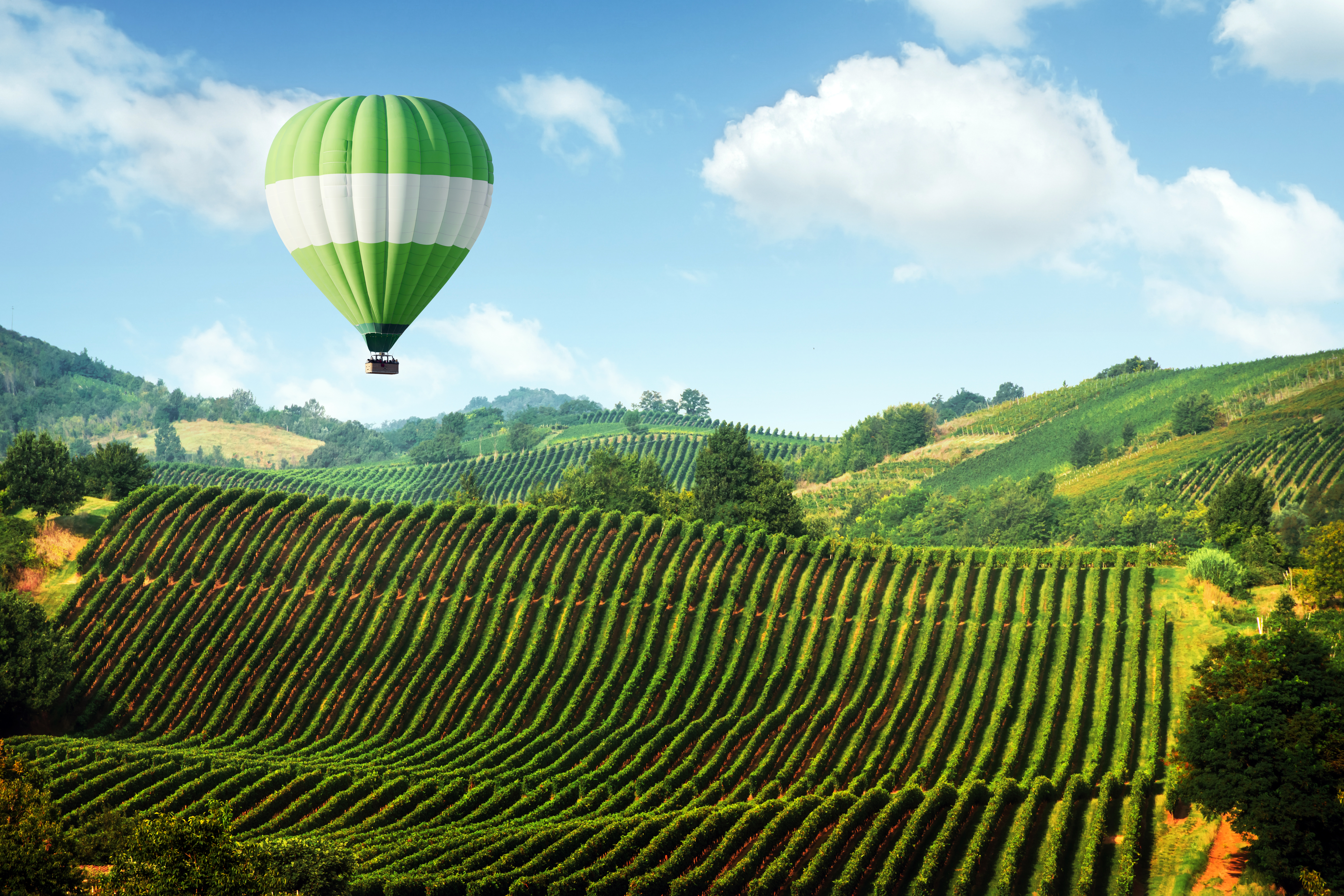 Hot air balloons in Tuscany. Photo: Shutterstock