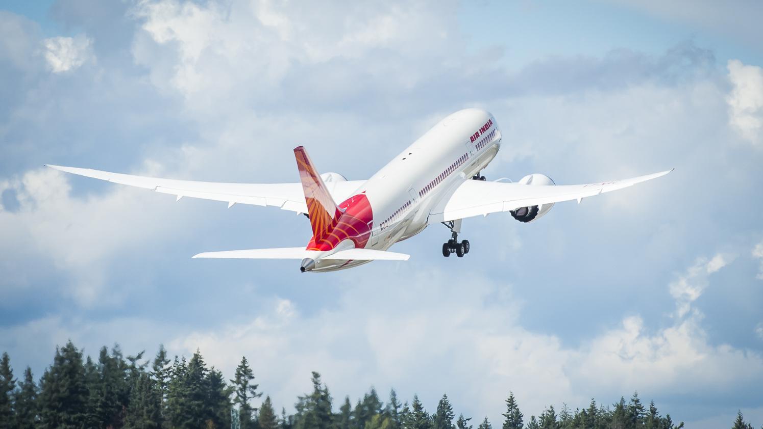Air India's Boeing 787 Dreamliners. Photo: Air India