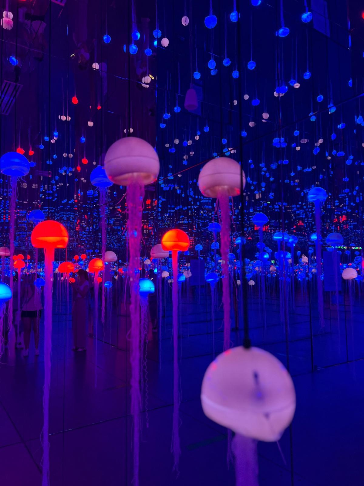 MINA Museum. Photo: Alex Igna