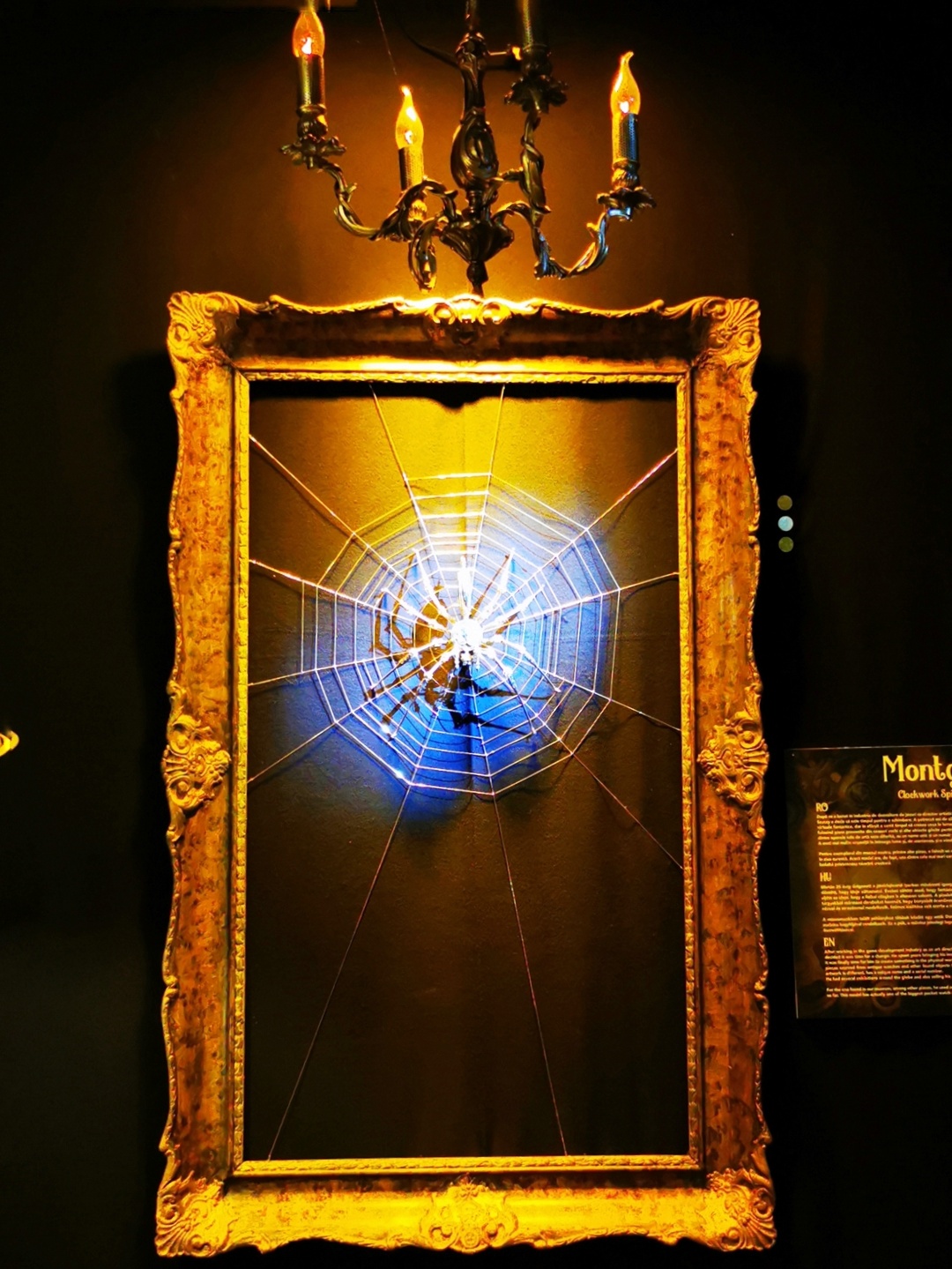 Steampunk Museum. Photo: Alex Igna