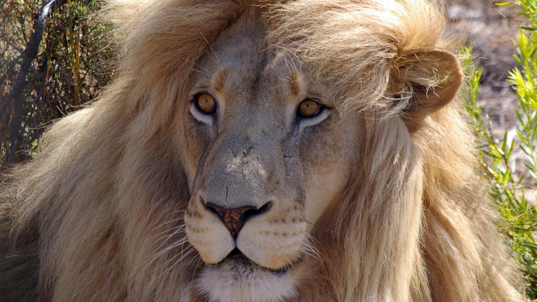 Photo: Shutterstock