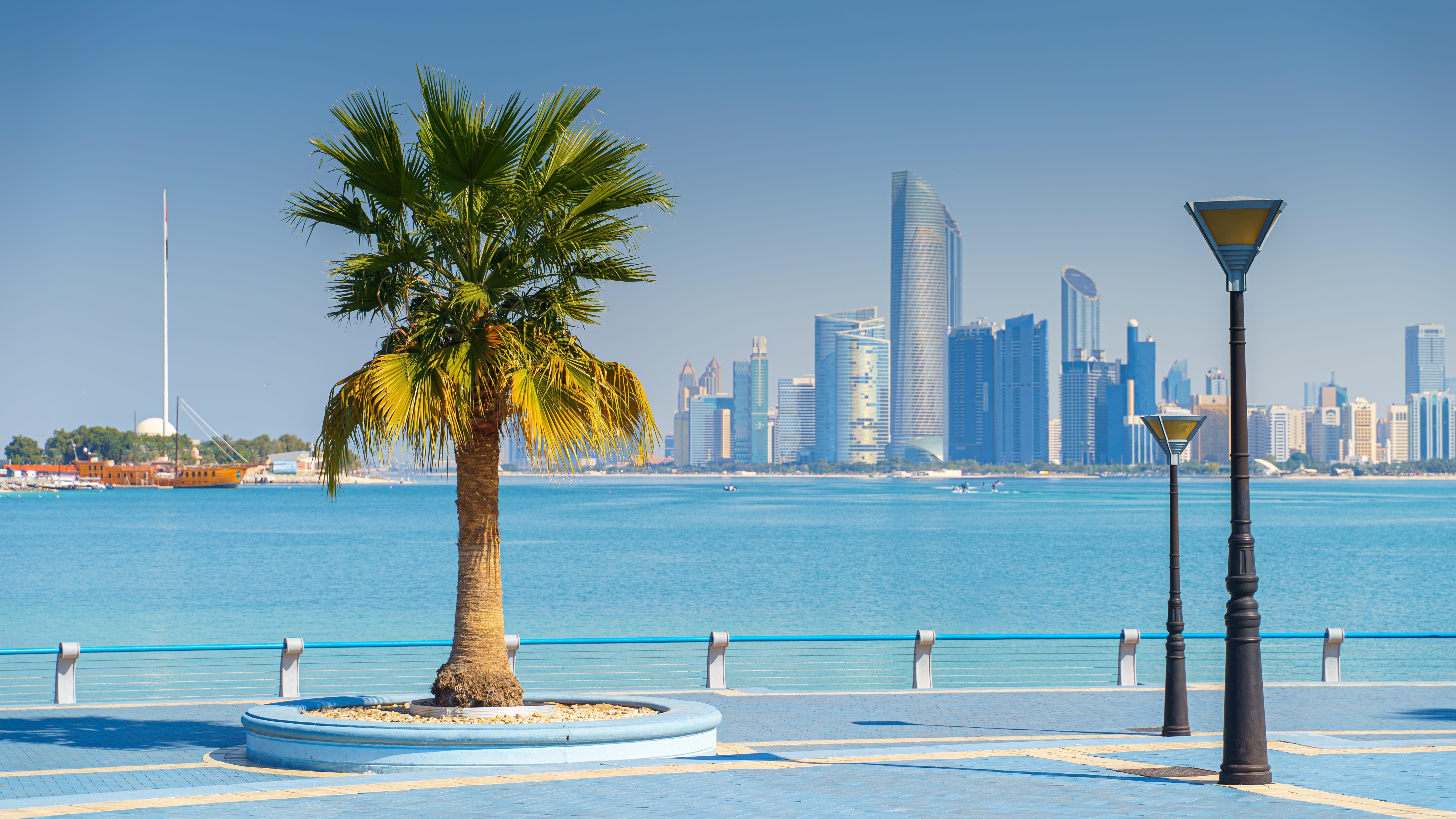Abu Dhabi. Photo: Sergey_Bogomyako / Shutterstock.com