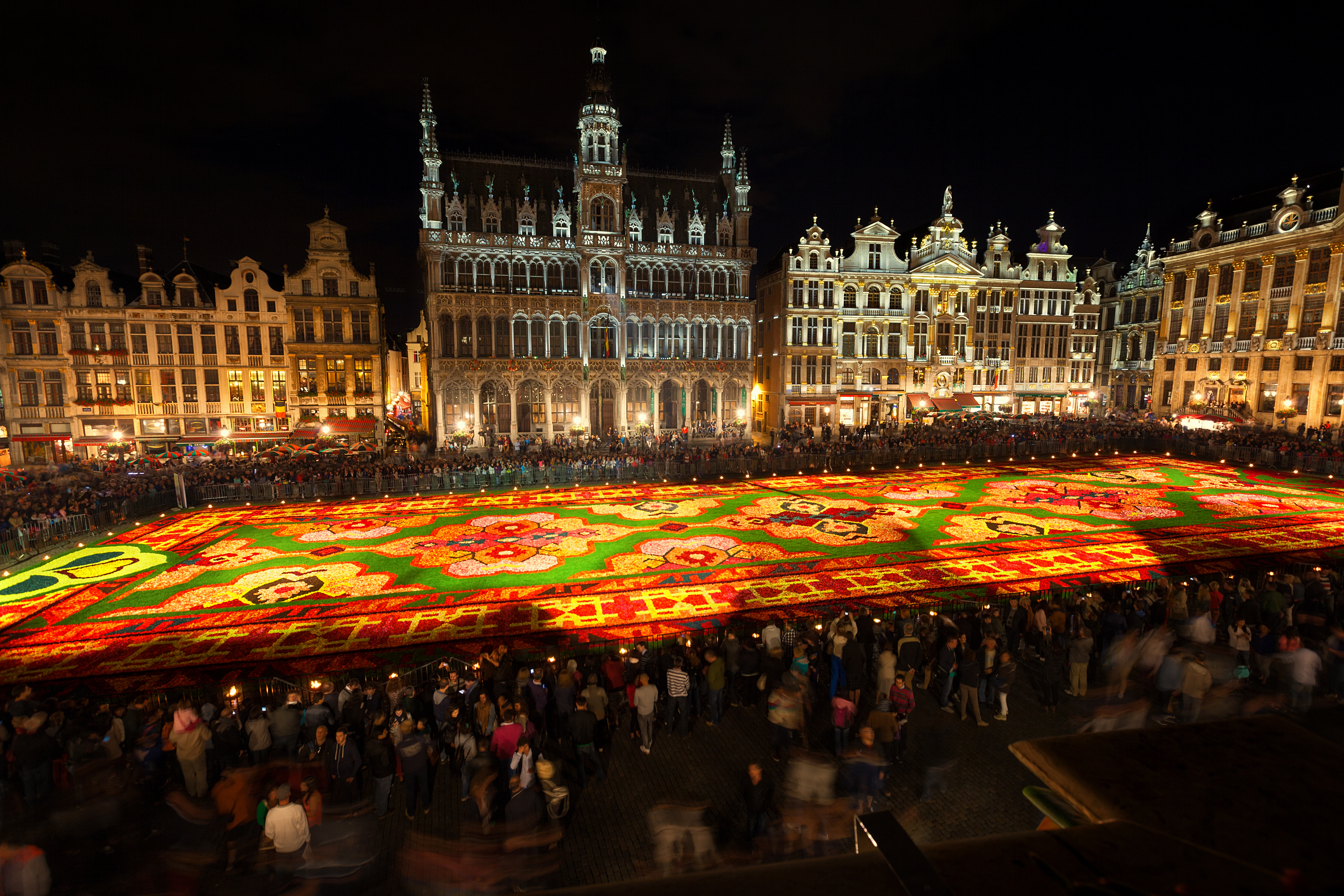Flower Carpet 2014: Photo: Ivan Soto Cobos / Shutterstock.com