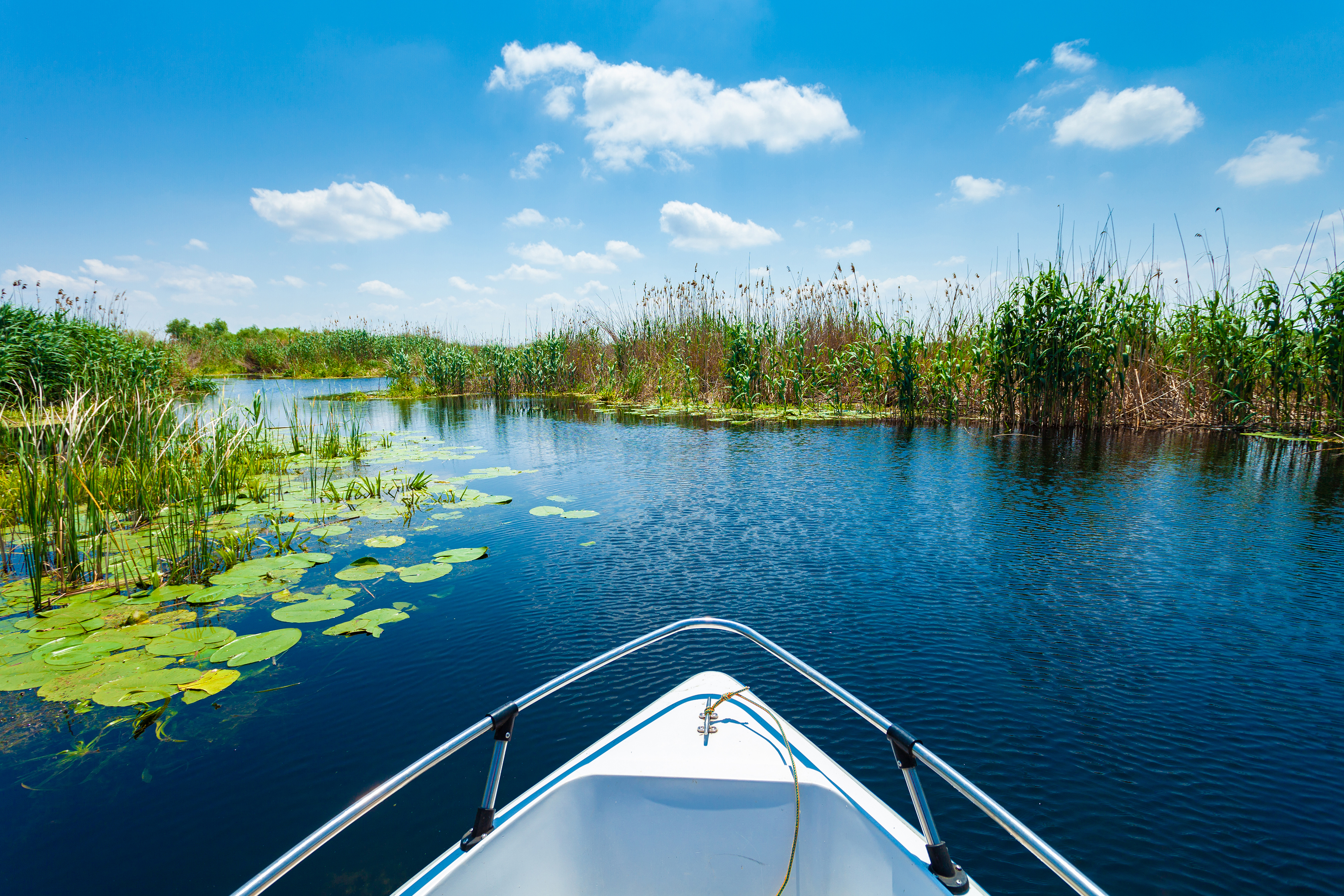 Danube Delta. Photo: Shutterstock