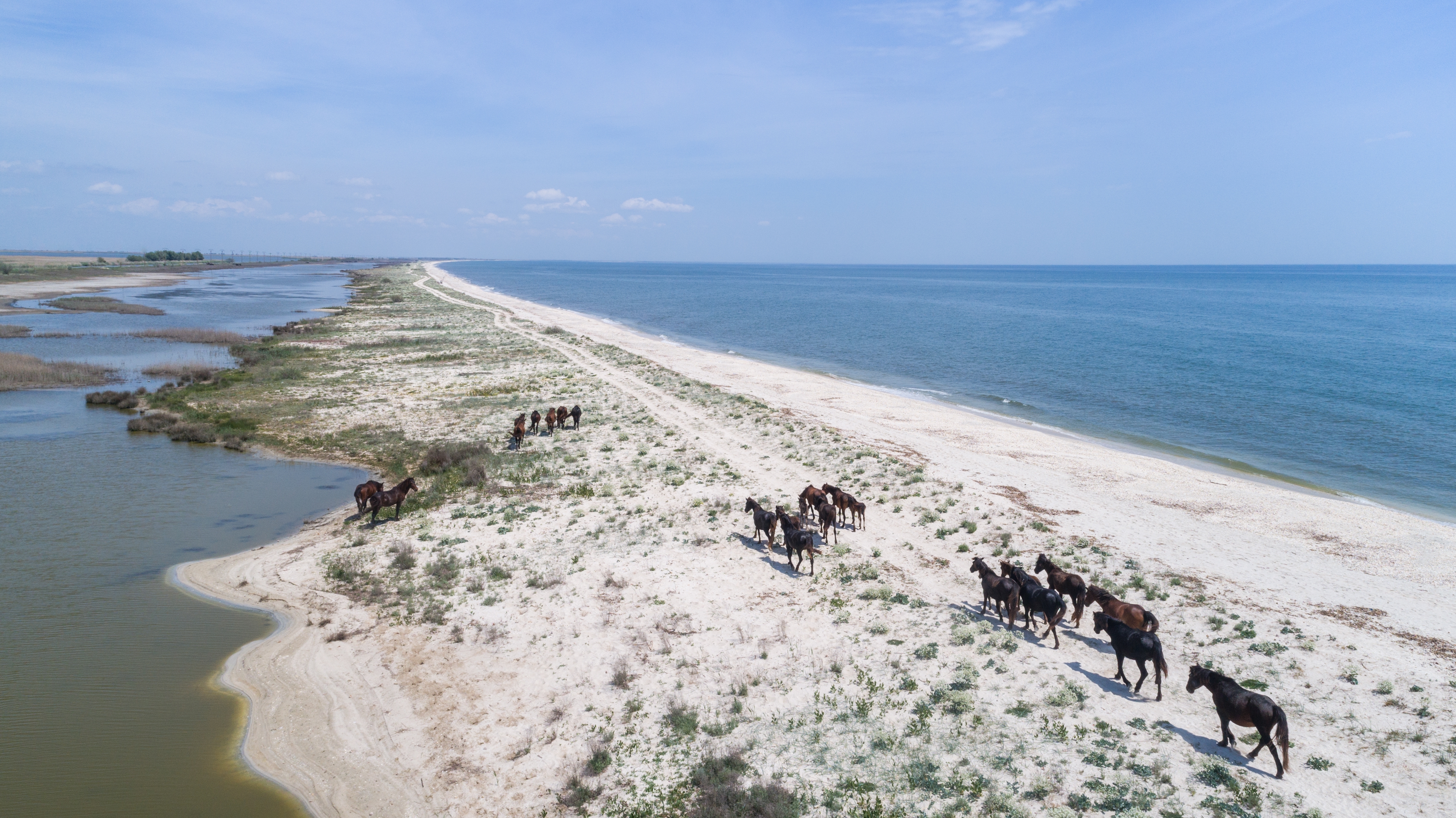 Wild forest at Ledea. Photo: Shutterstock