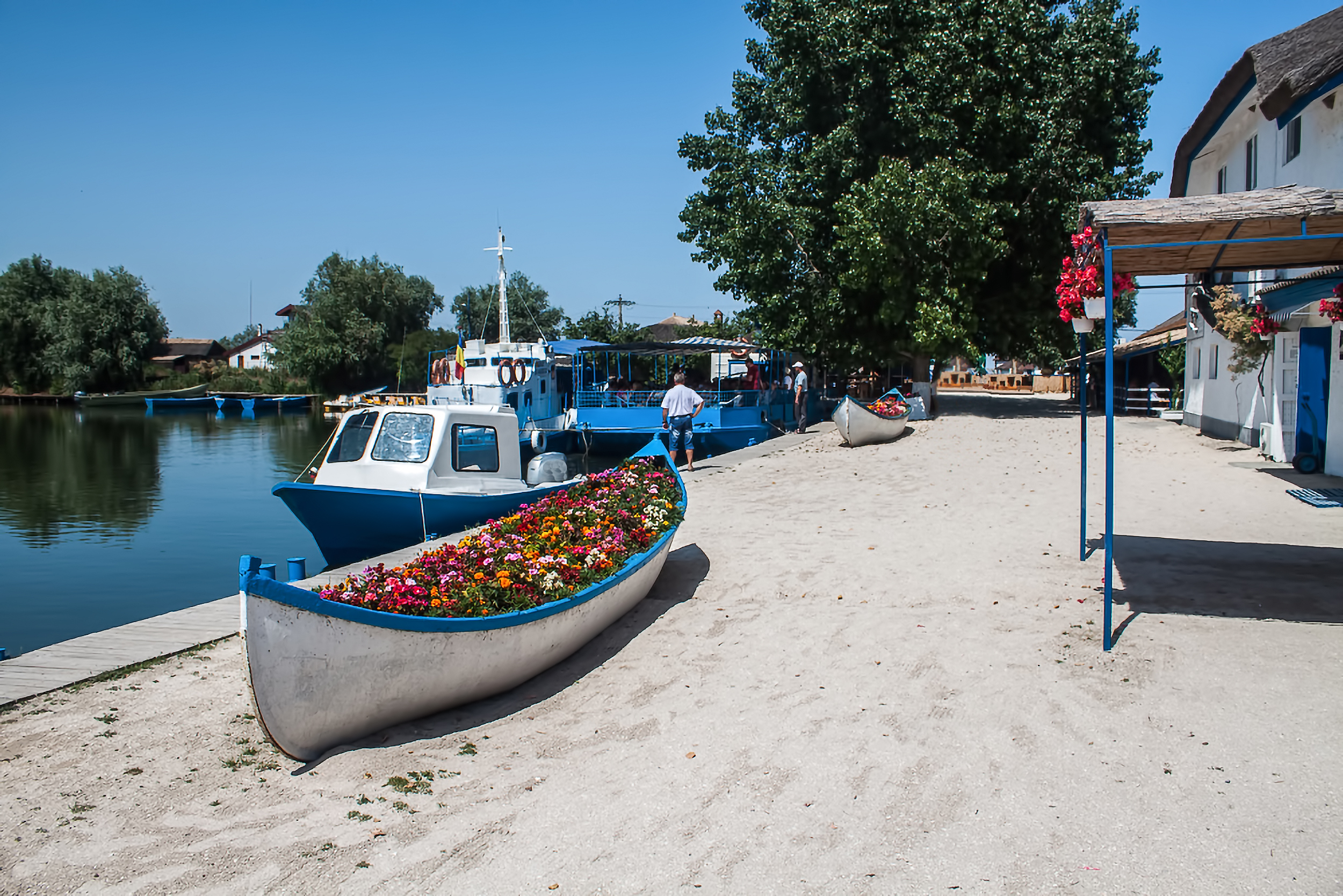 Danube Dealta. Photo: Shutterstock