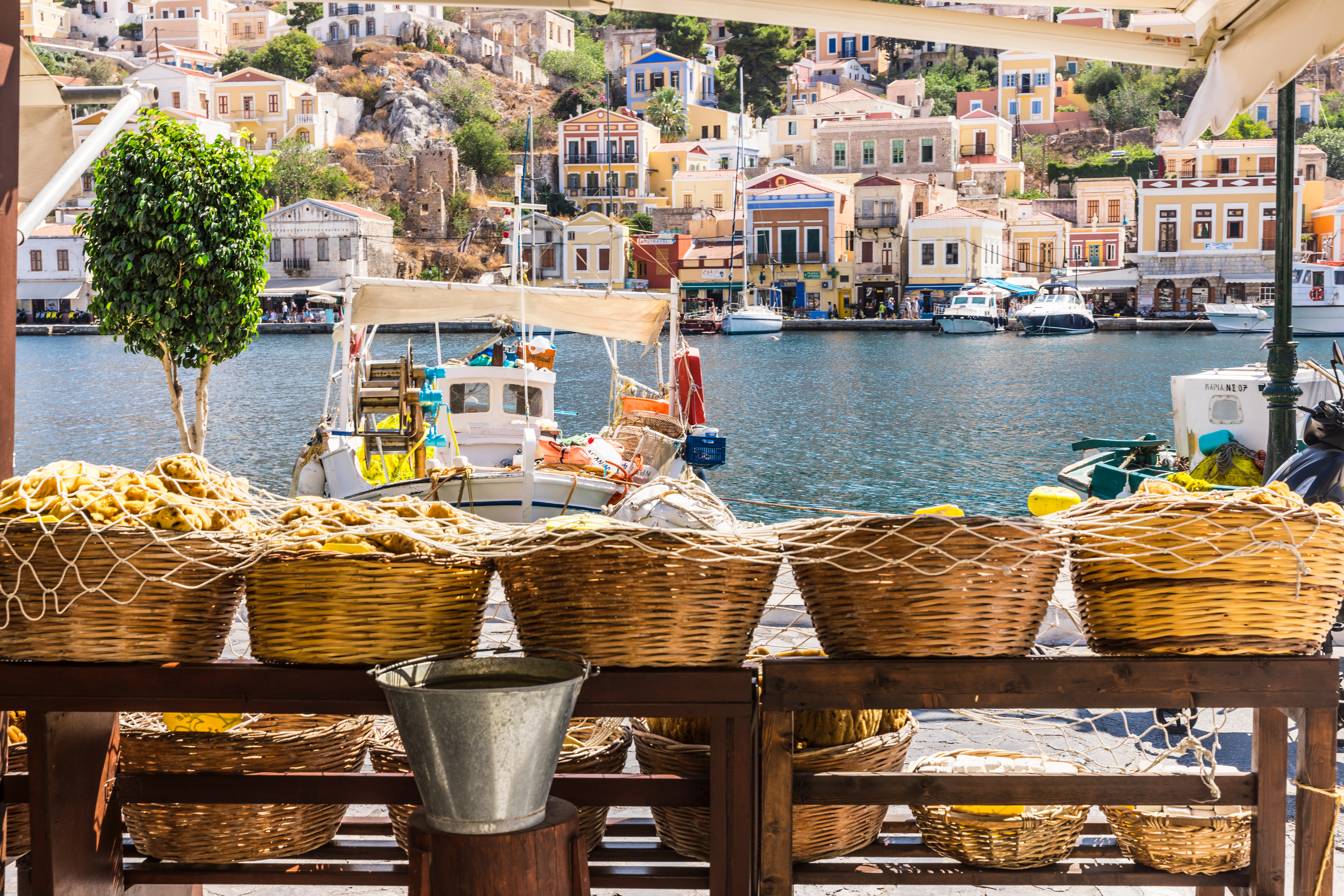 Photo: Damira / Shutterstock.com