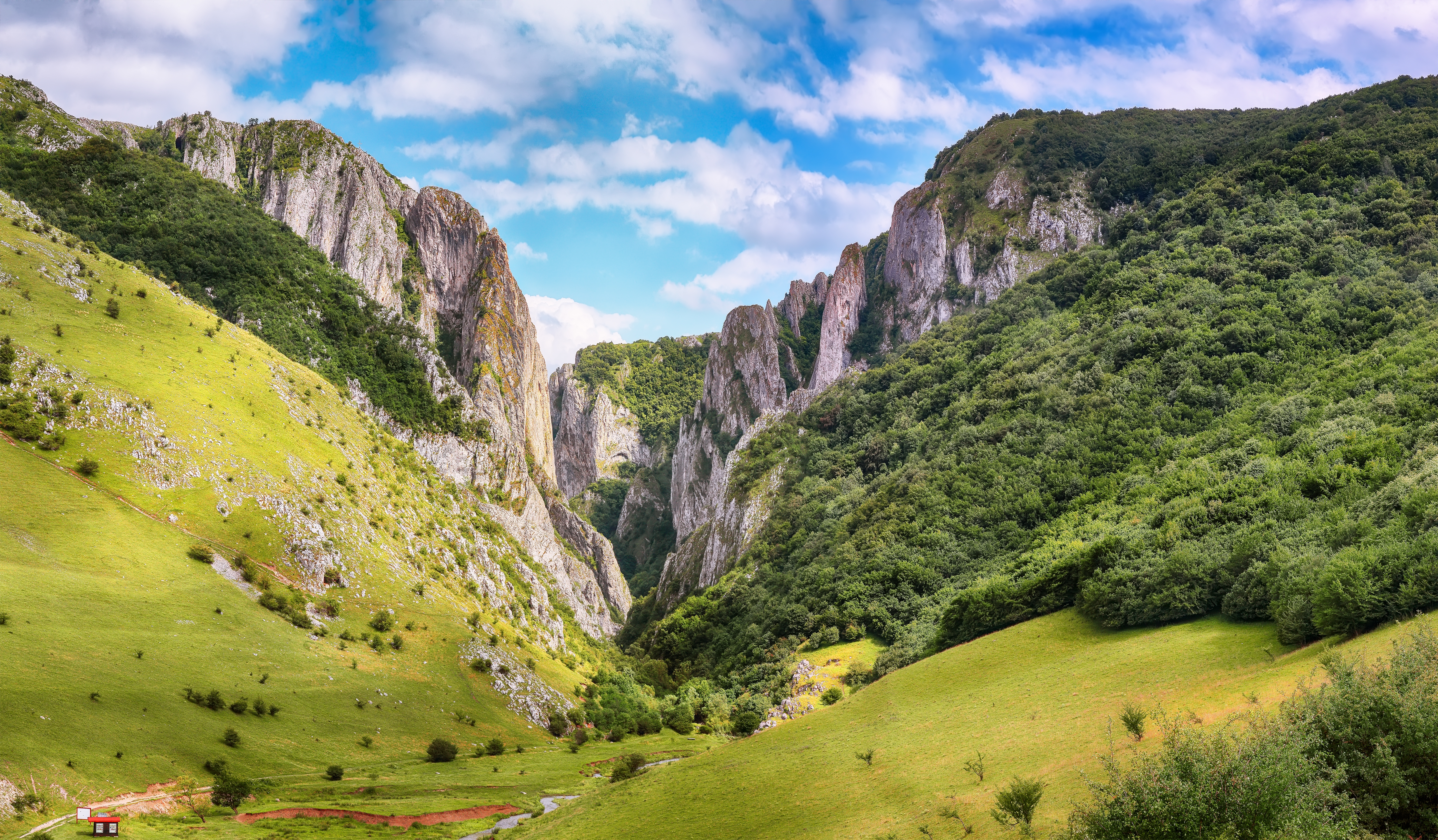 Photo: Shutterstock