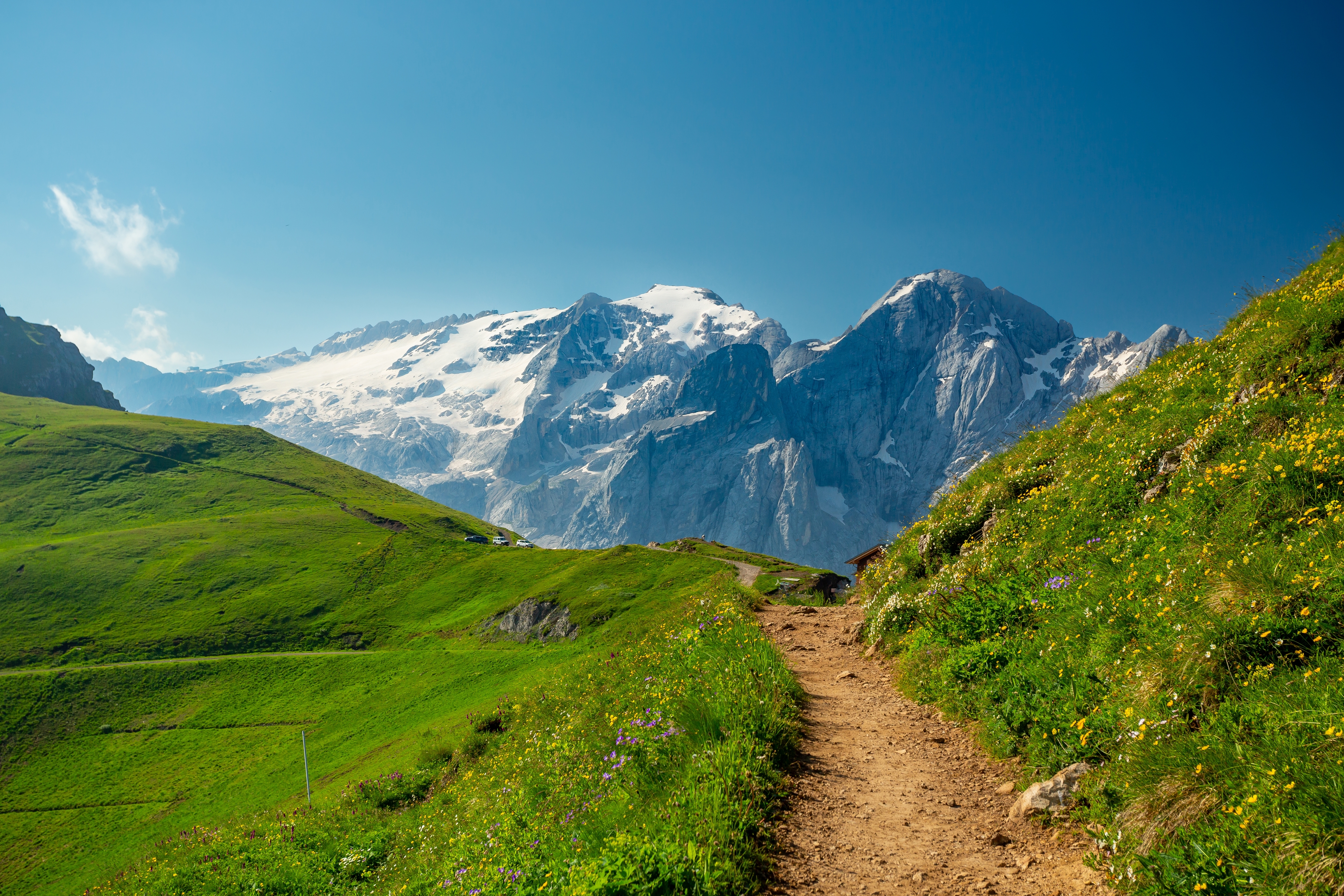 Photo: Shutterstock