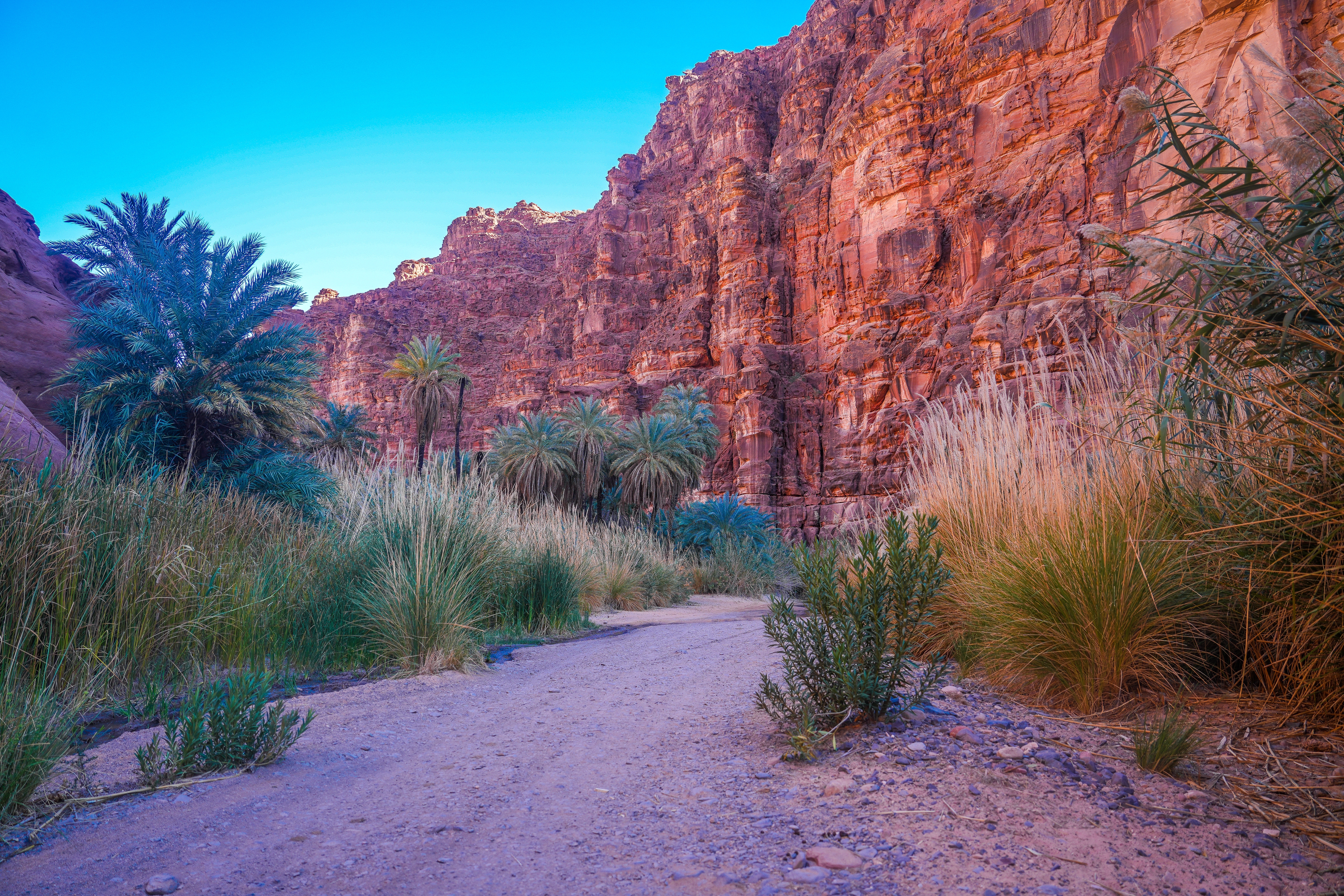 Photo: Shutterstock