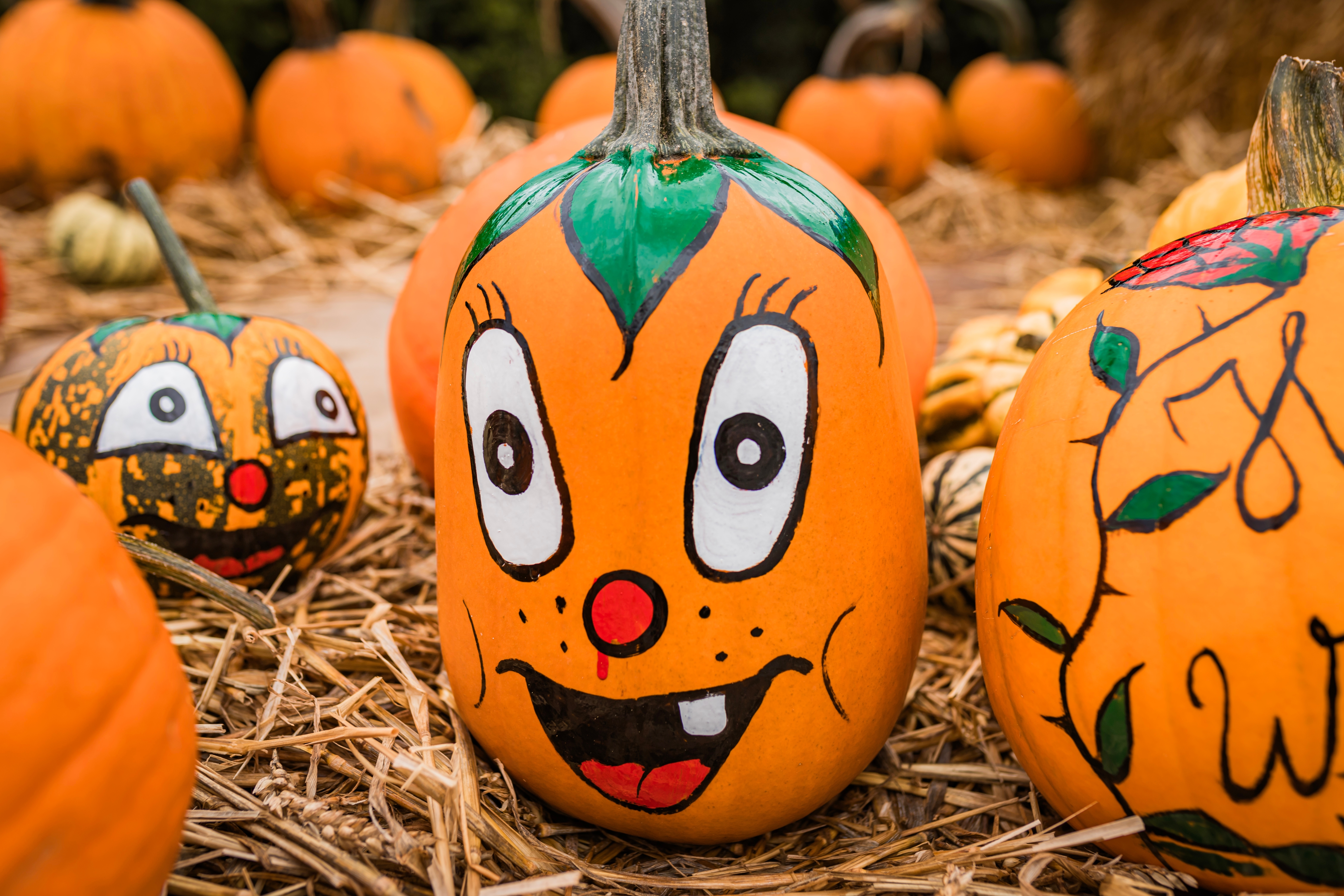 Pumpkin festival. Photo: Shutterstock