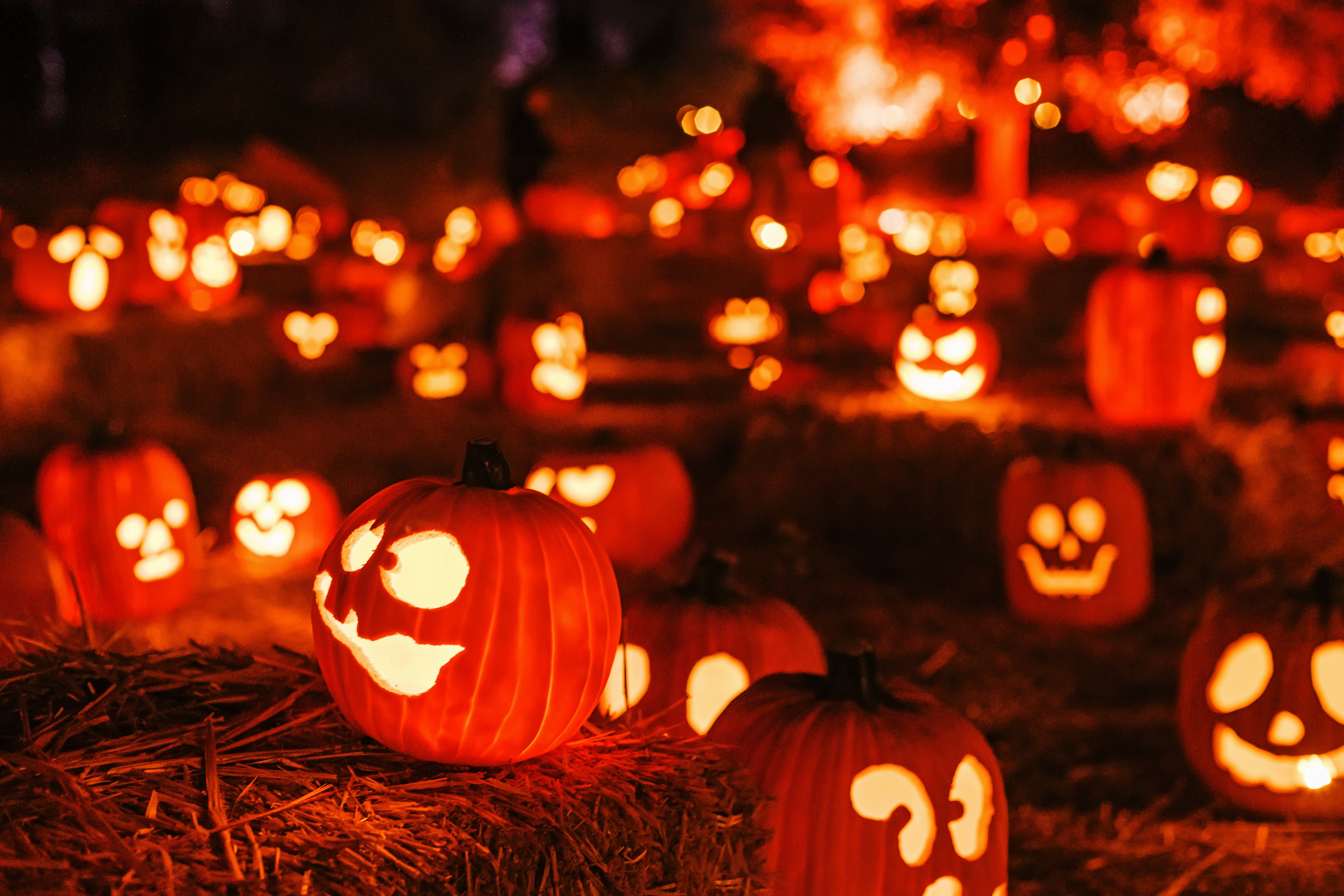 Photo: Shutterstock