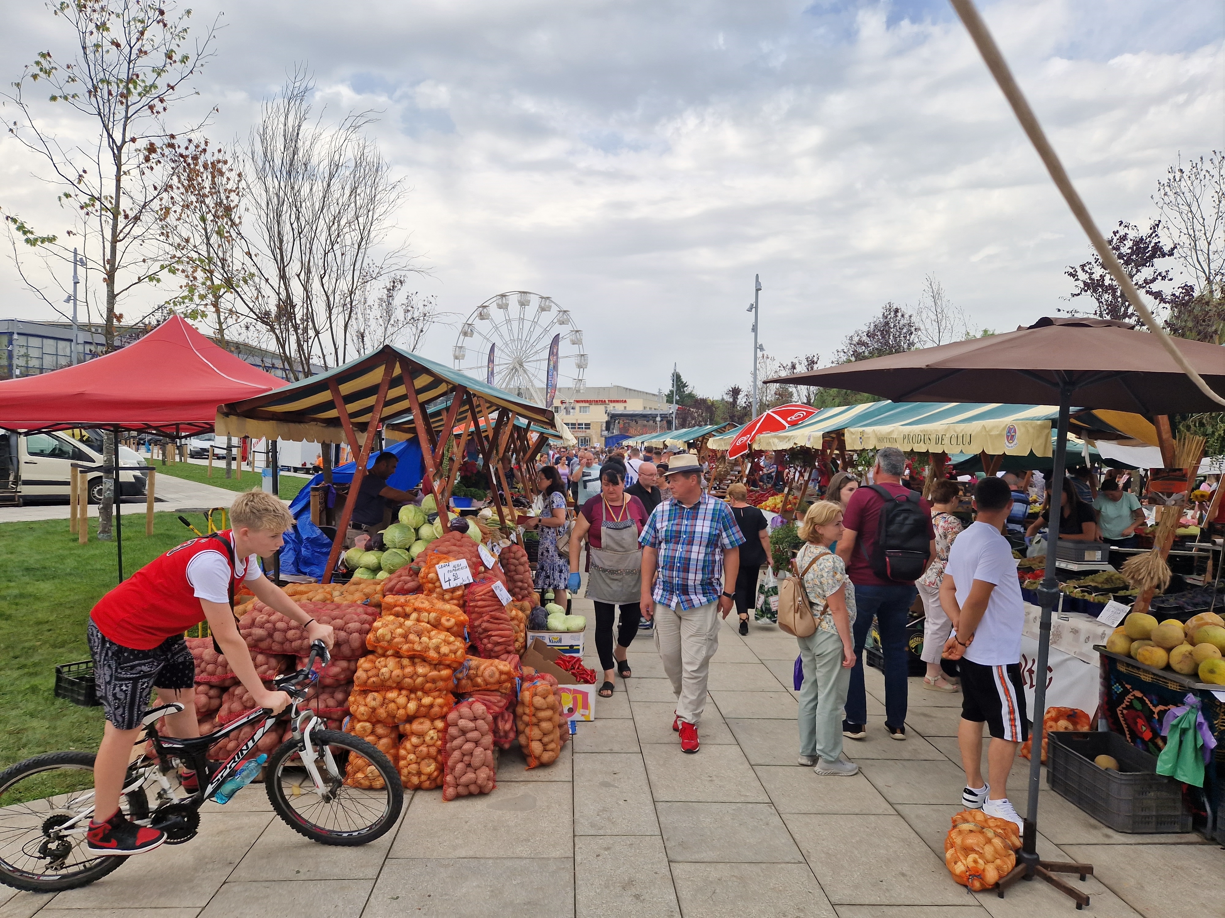 Harvest Days in Cluj-Napoca. Photo: rcadsoftware / Shutterstock.com