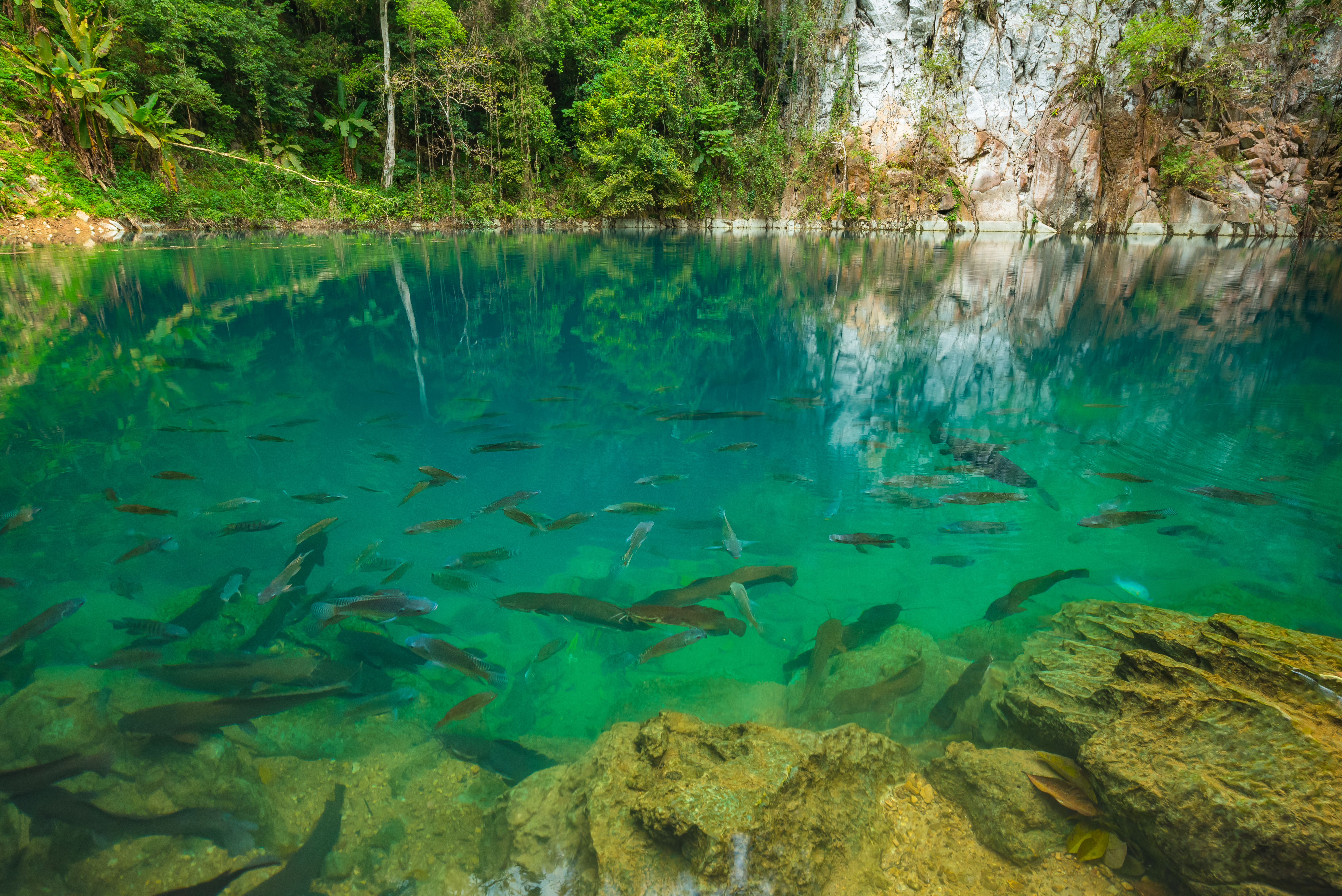 Thailand. Photo: Shutterstock