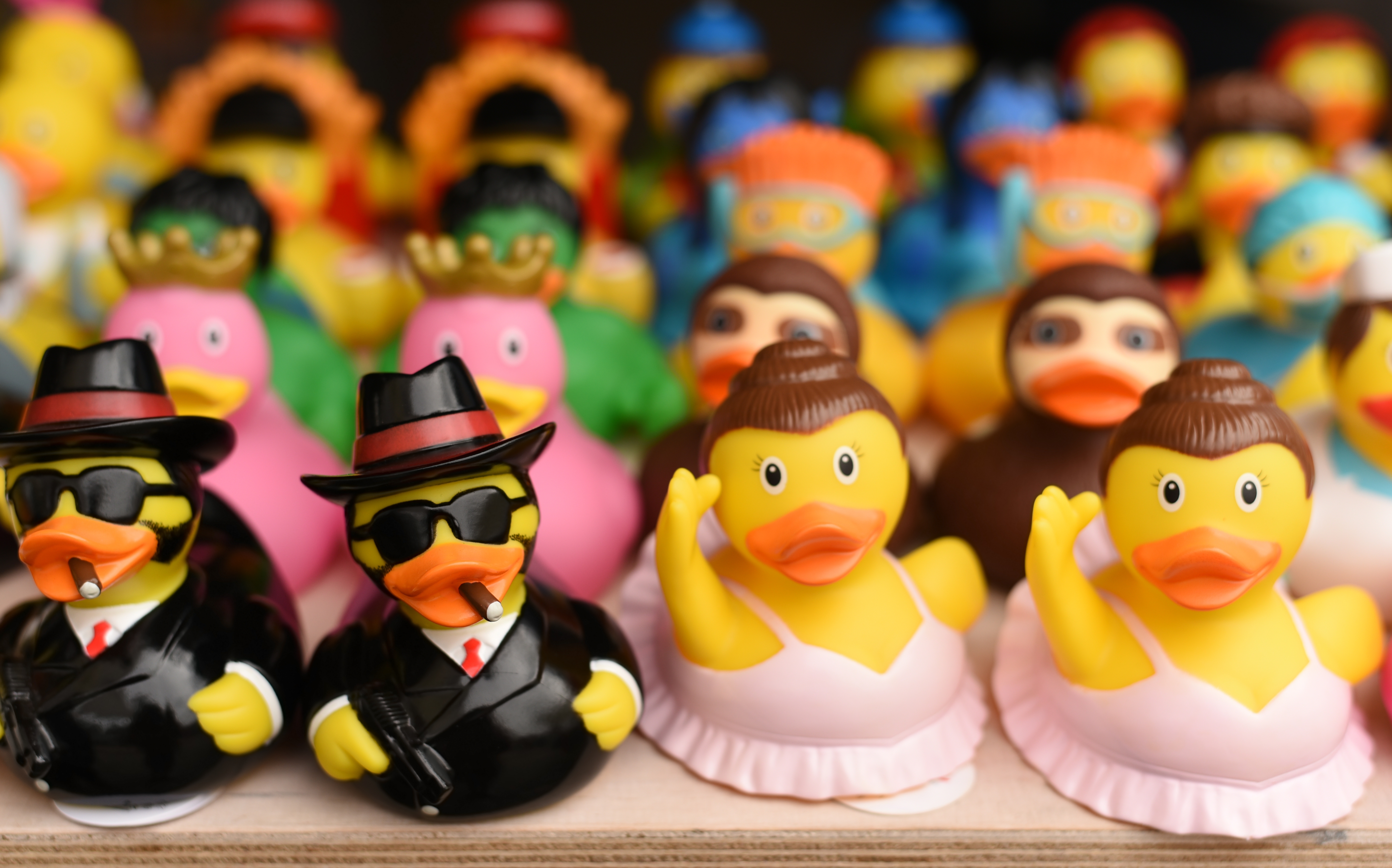 Photo: Shutterstock