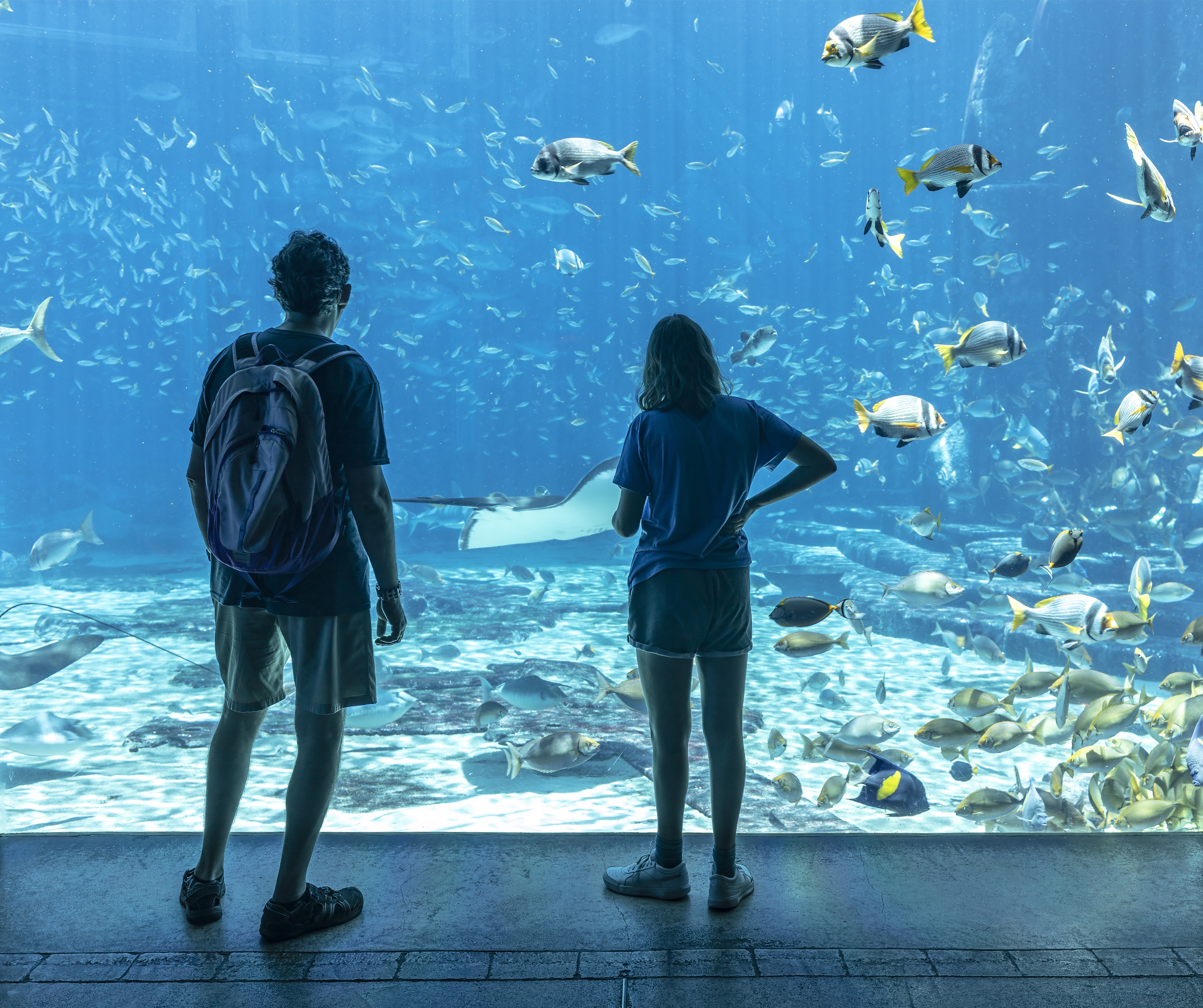 Lost World Auarium. Photo: : Geofox / Shutterstock.com