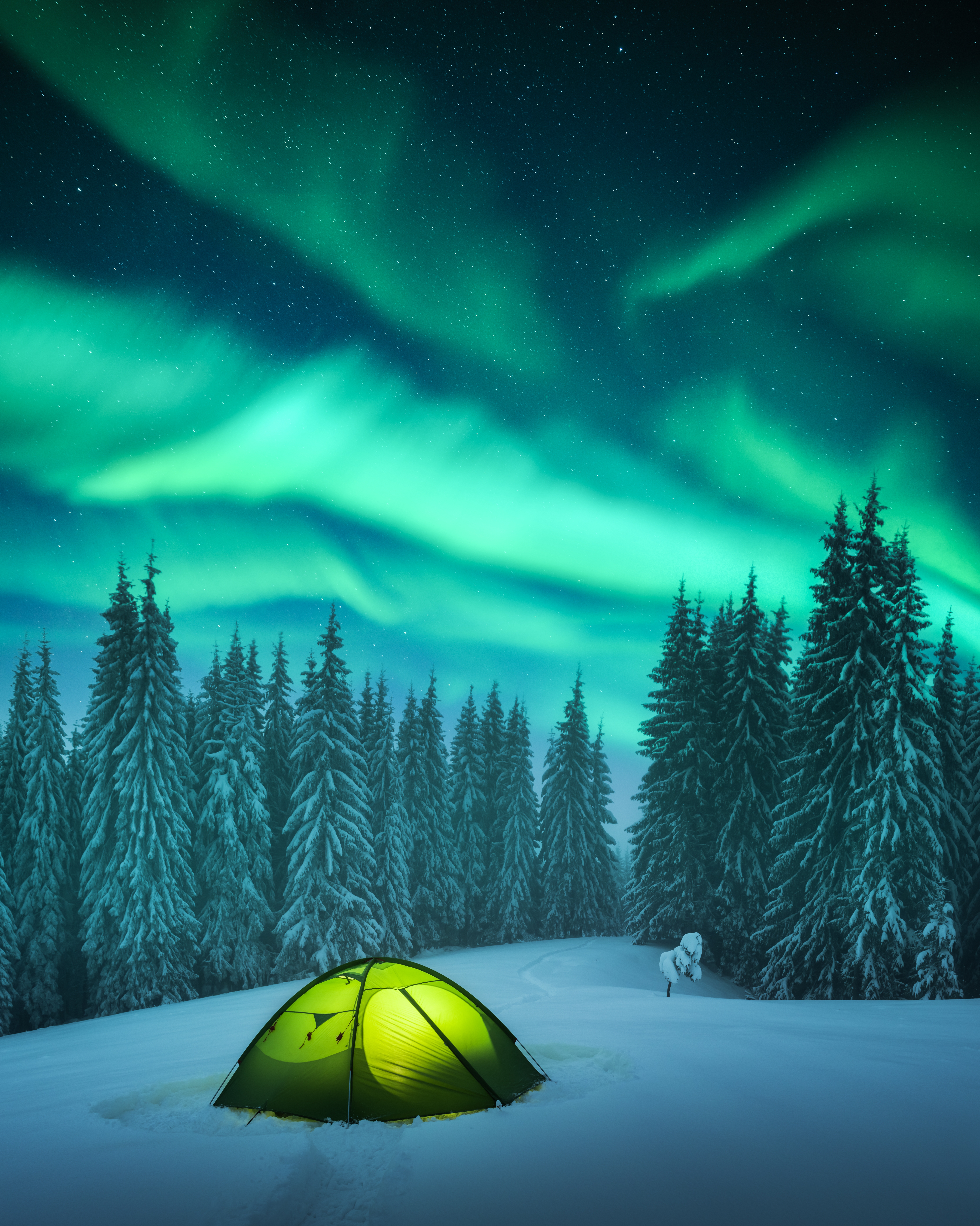Northern Lights. Photo: Shutterstock