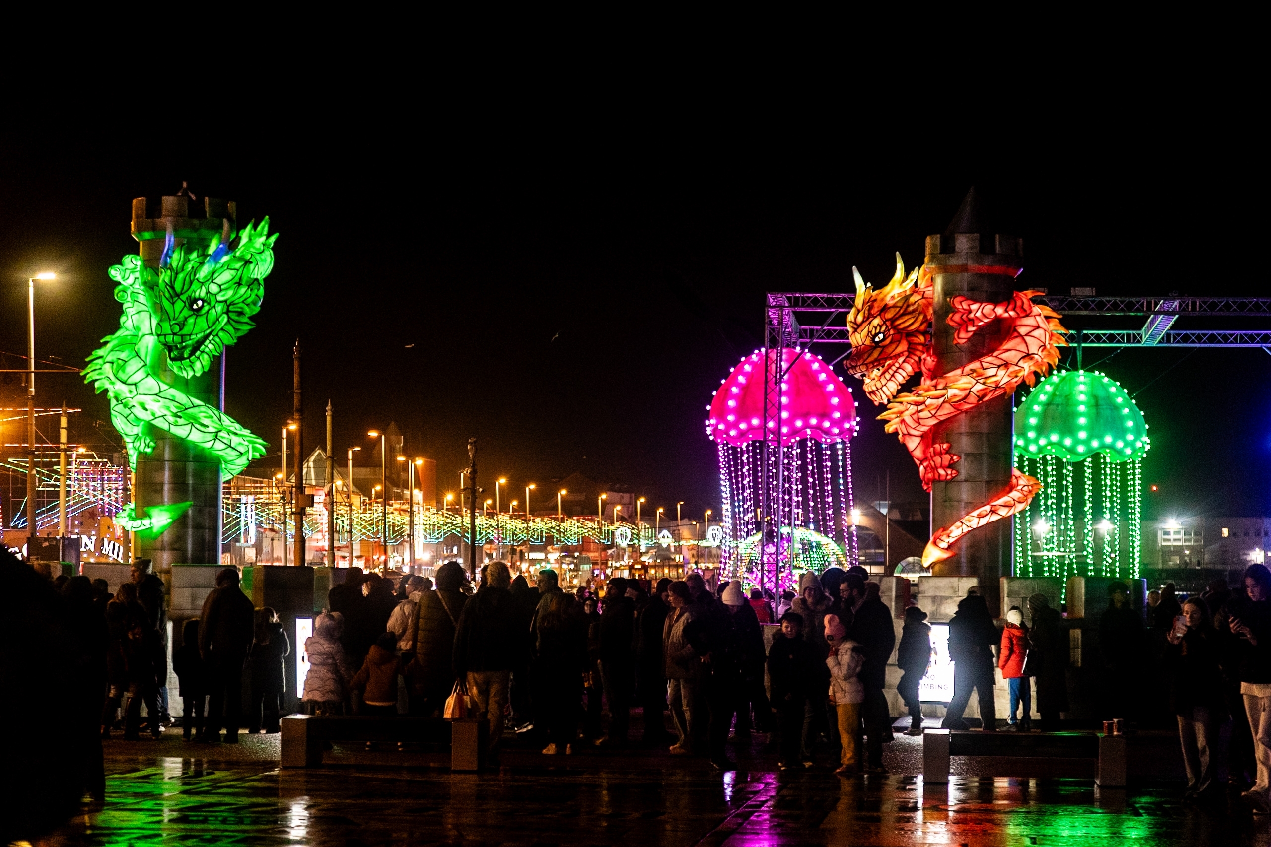 Lightpool Festival. Photo: Liz Withey / Shutterstock.com