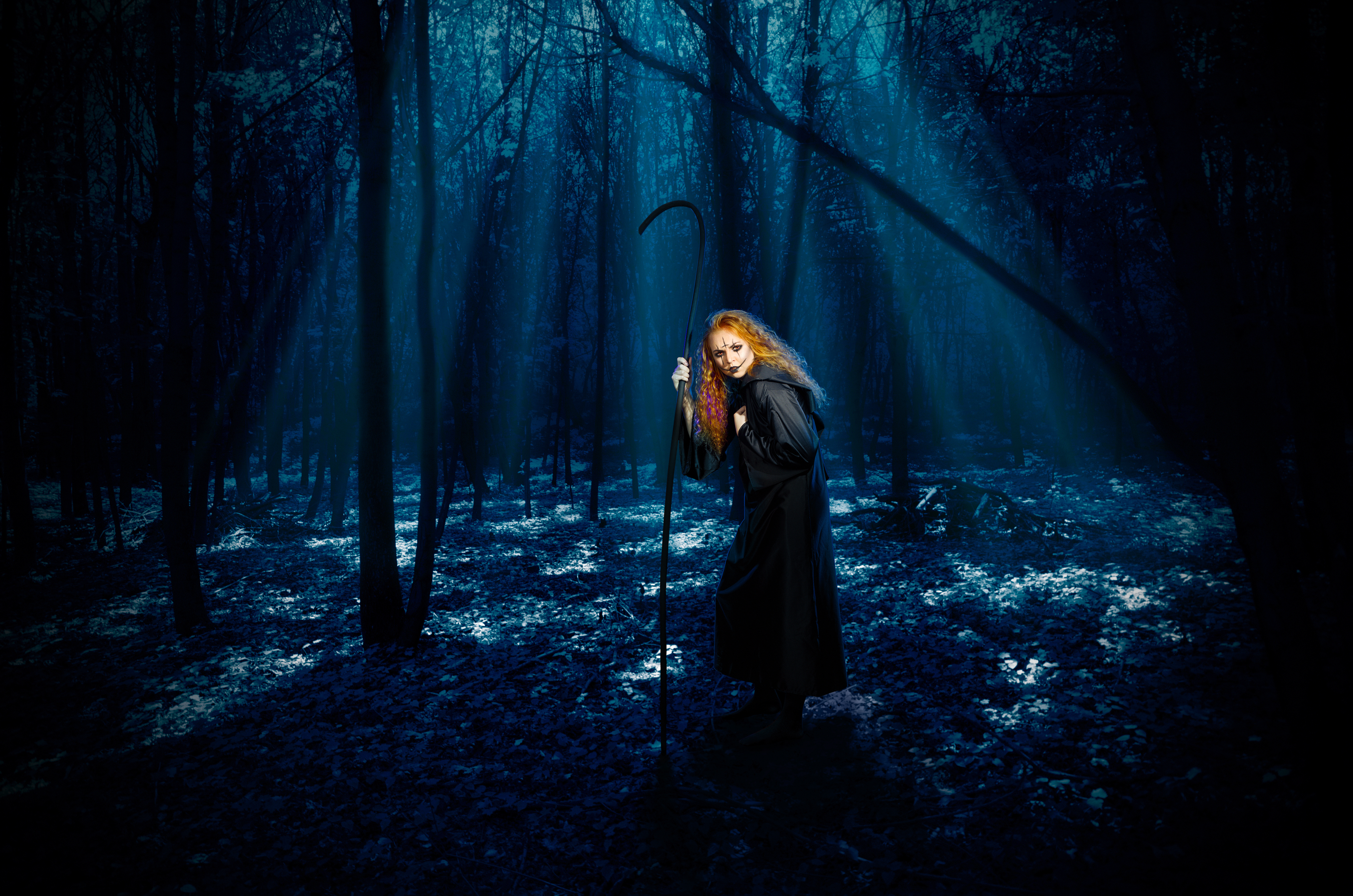 Photo: Shutterstock