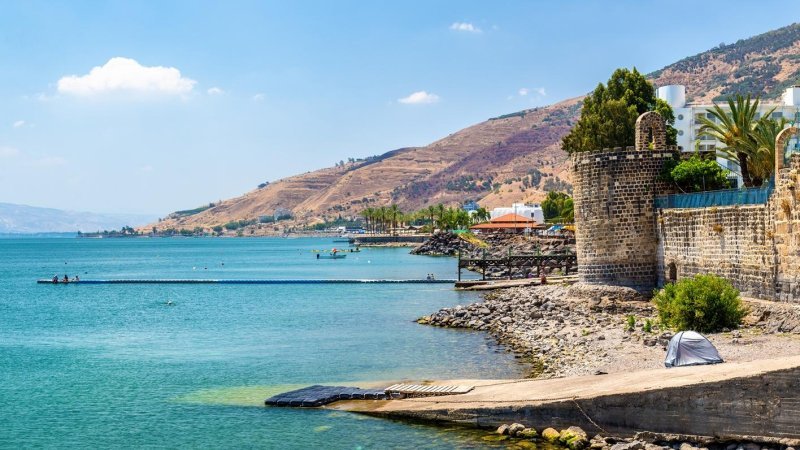 צילום: Shutterstock צילום: Shutterstock