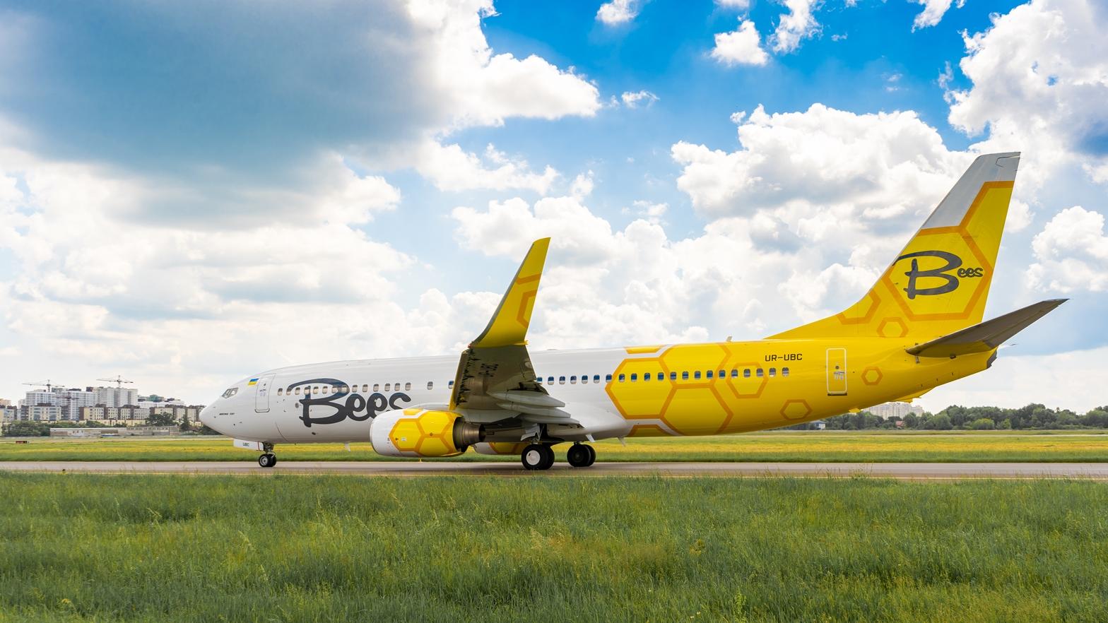 BEES AIRLINES. צילום: BEES AIRLINES