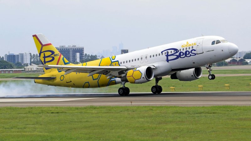 צילום: BEES AIRLINES צילום: BEES AIRLINES