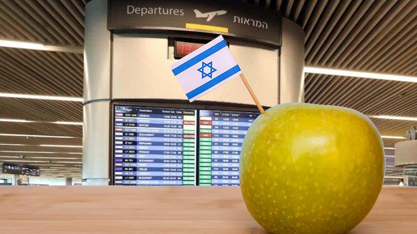 צילומים: SHUTTERSTOCK