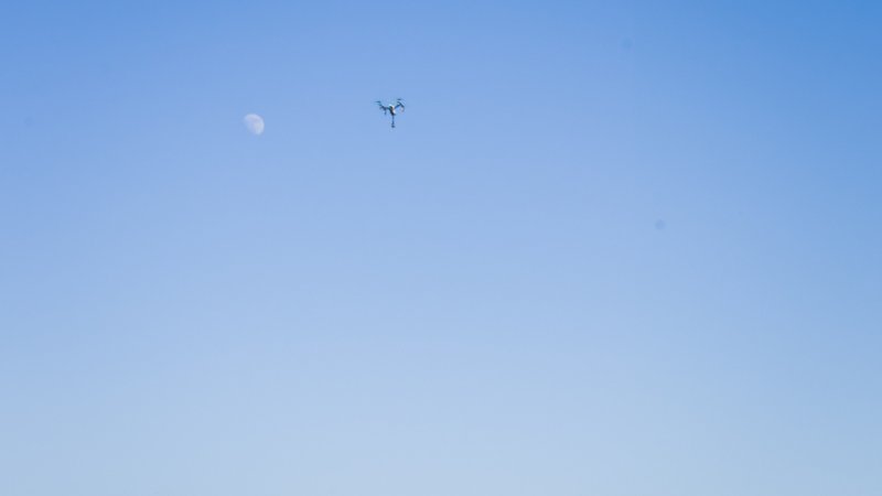 צילום ארכיון: Shutterstock צילום ארכיון: Shutterstock