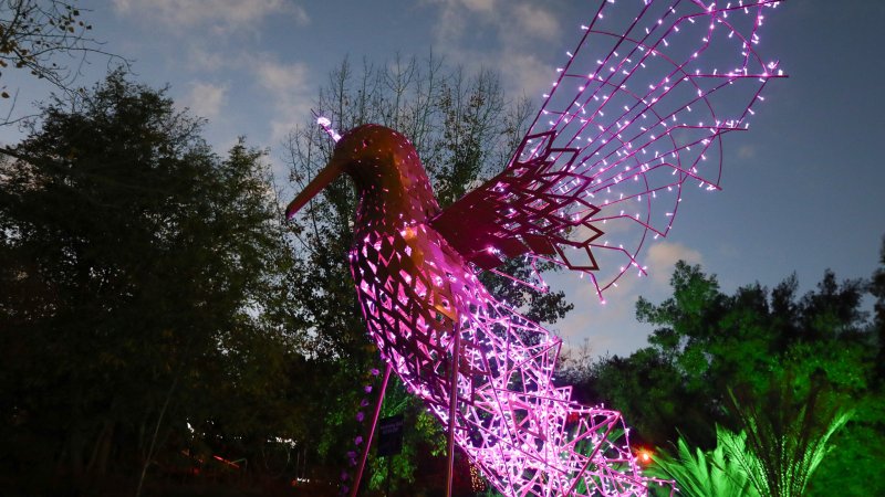 הגן הבוטני ירושלים (צילום: MK-illumination) הגן הבוטני ירושלים (צילום: MK-illumination)