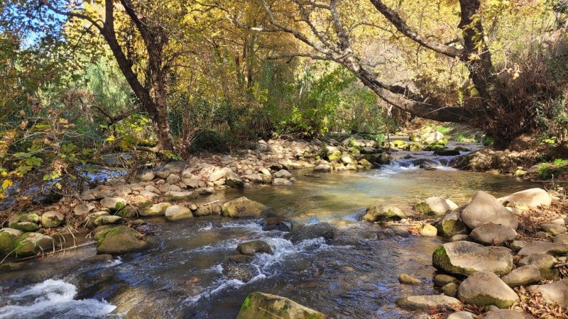 נחל שניר (צילום: רינת רוסו, רשות הטבע והגנים) נחל שניר (צילום: רינת רוסו, רשות הטבע והגנים)