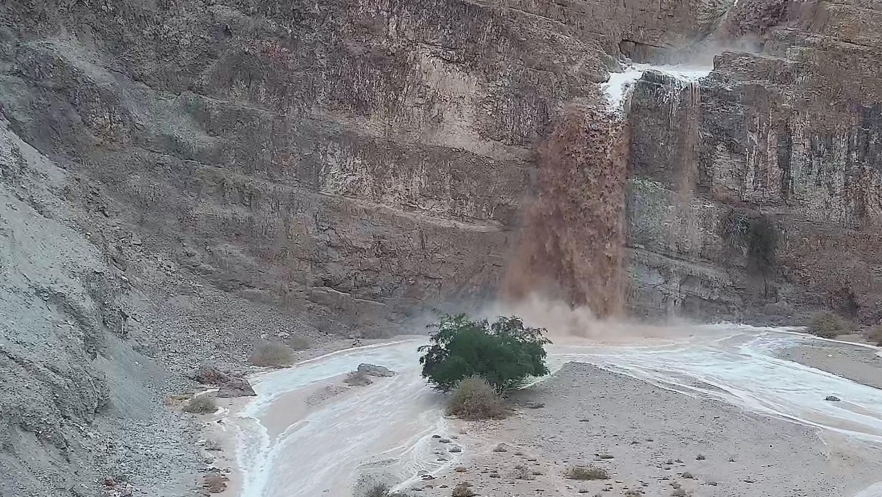 צילום: דן פרקש, רשות הטבע והגנים