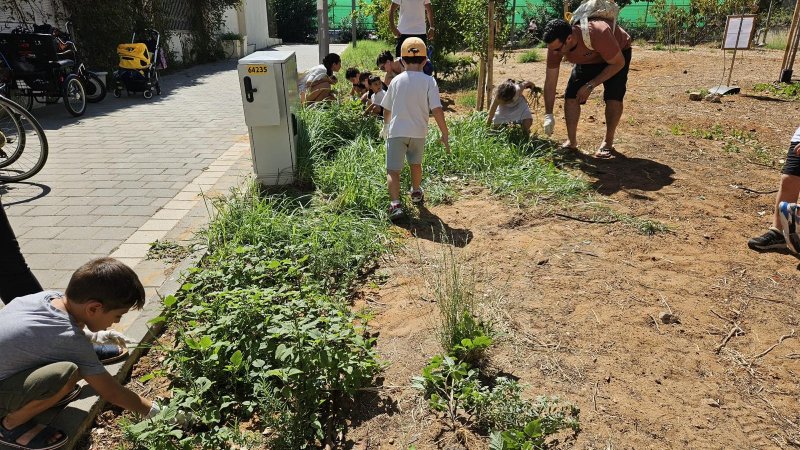 צילום באדיבות עיריית ת״א צילום באדיבות עיריית ת״א
